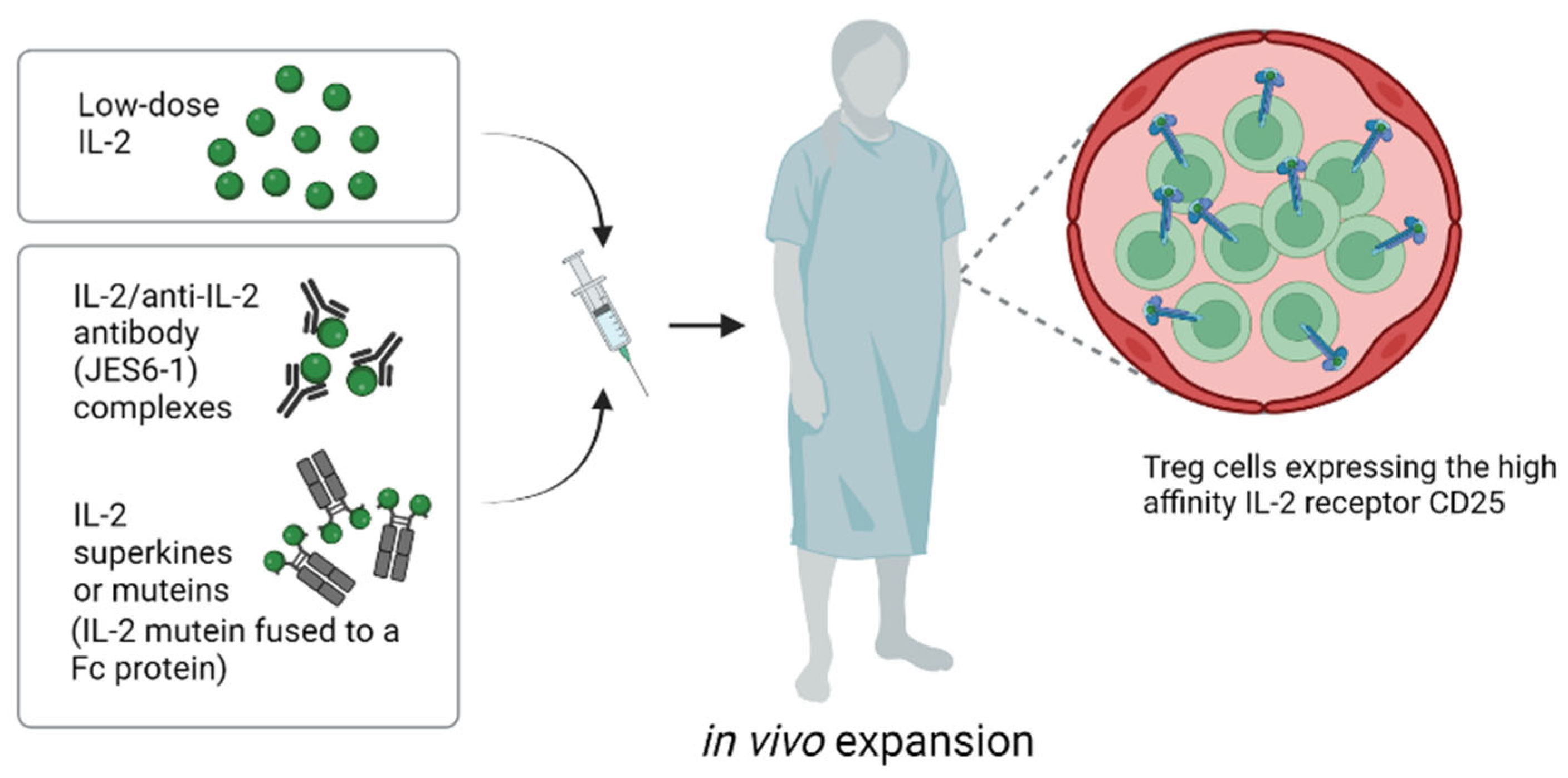 Ijms 24 01752 g003 Ijms 24 01752 g003