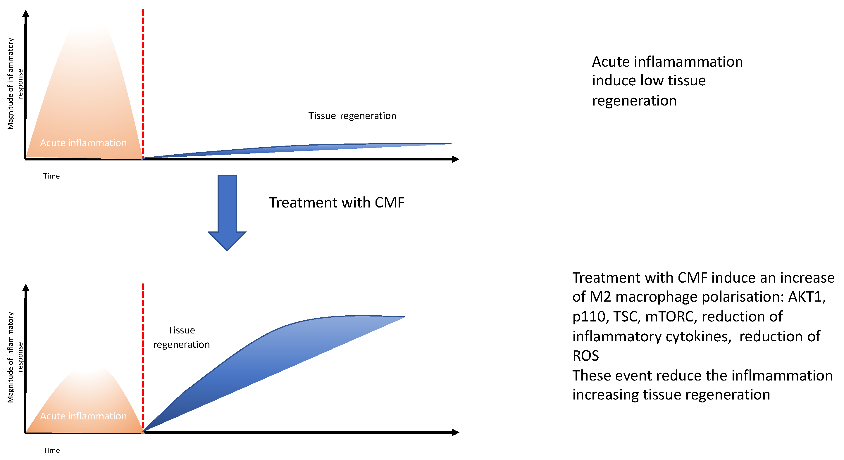 Ijms 24 01754 g008 Ijms 24 01754 g008