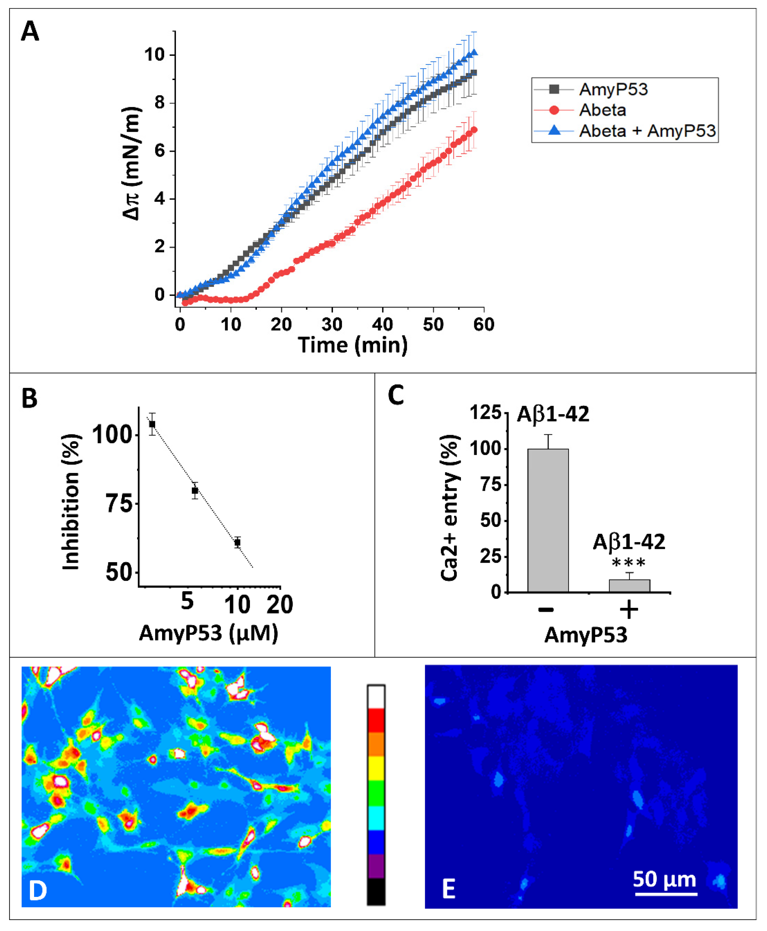 Ijms 24 01760 g001 Ijms 24 01760 g001