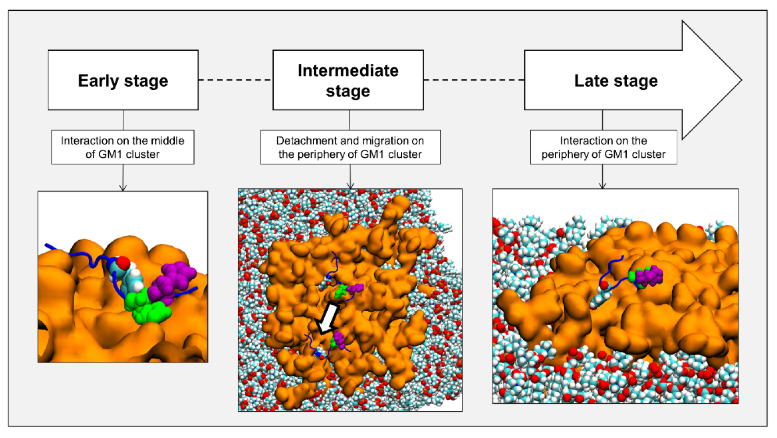Ijms 24 01760 g002 Ijms 24 01760 g002