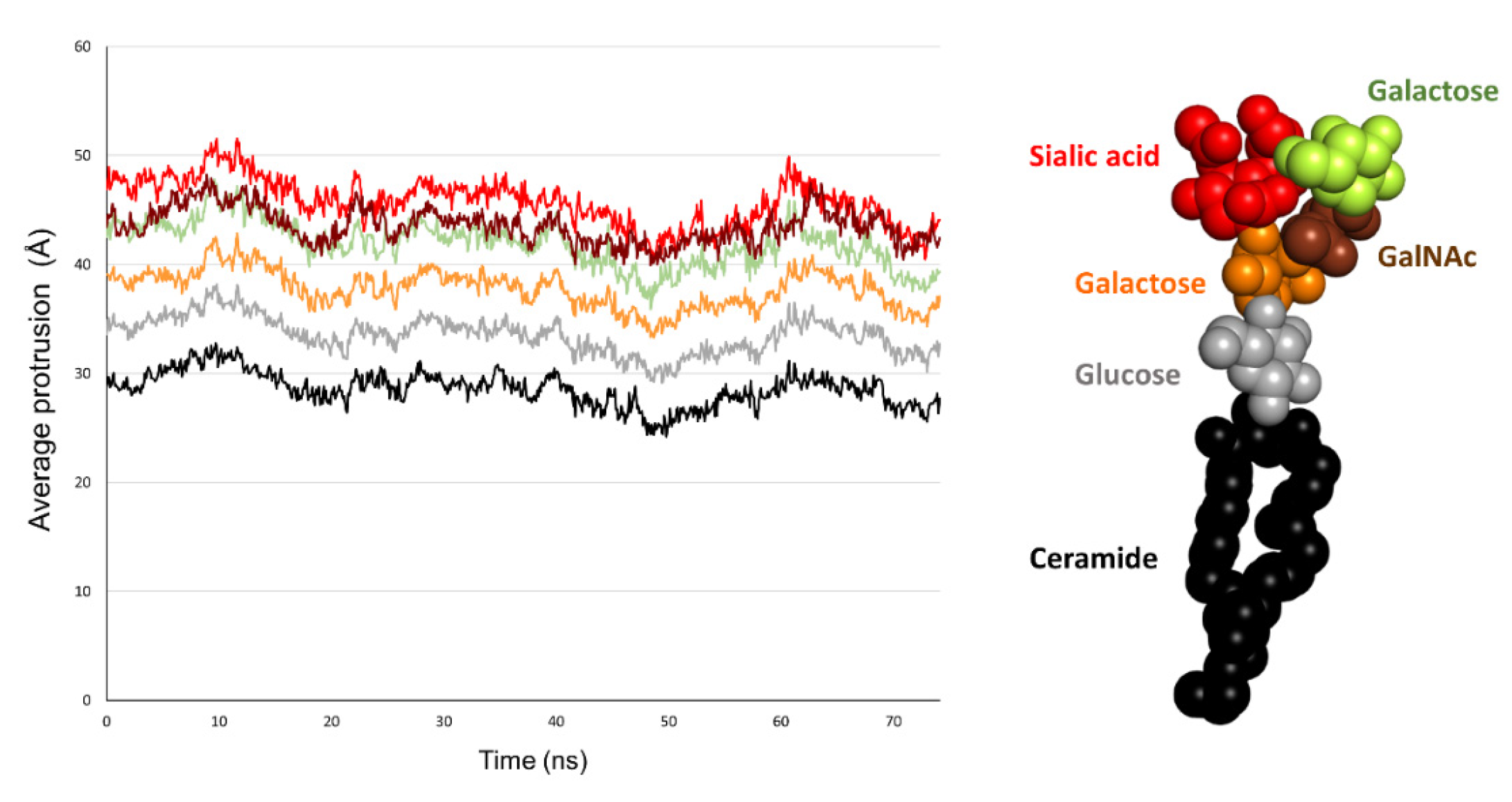 Ijms 24 01760 g003 Ijms 24 01760 g003