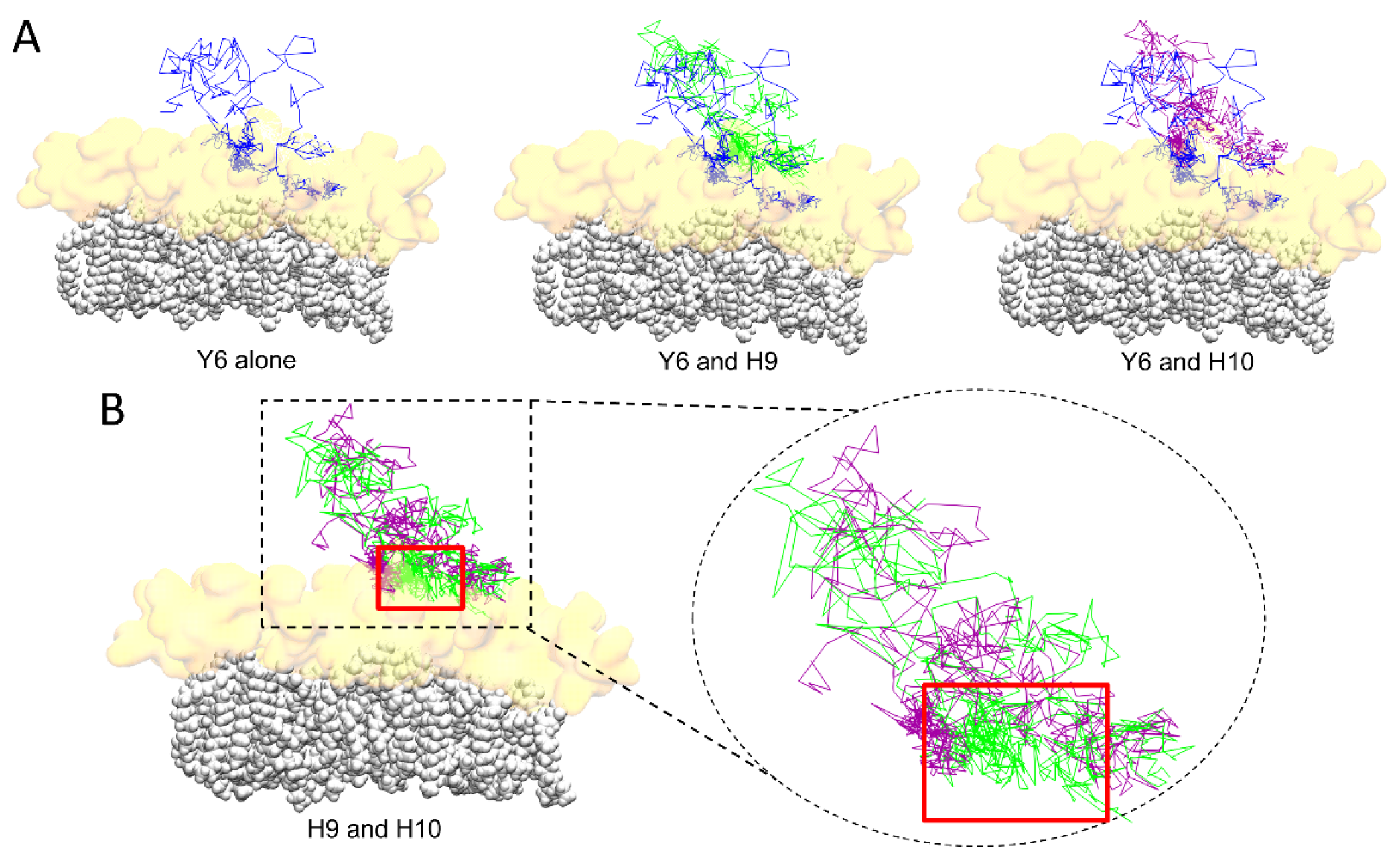 Ijms 24 01760 g005 Ijms 24 01760 g005