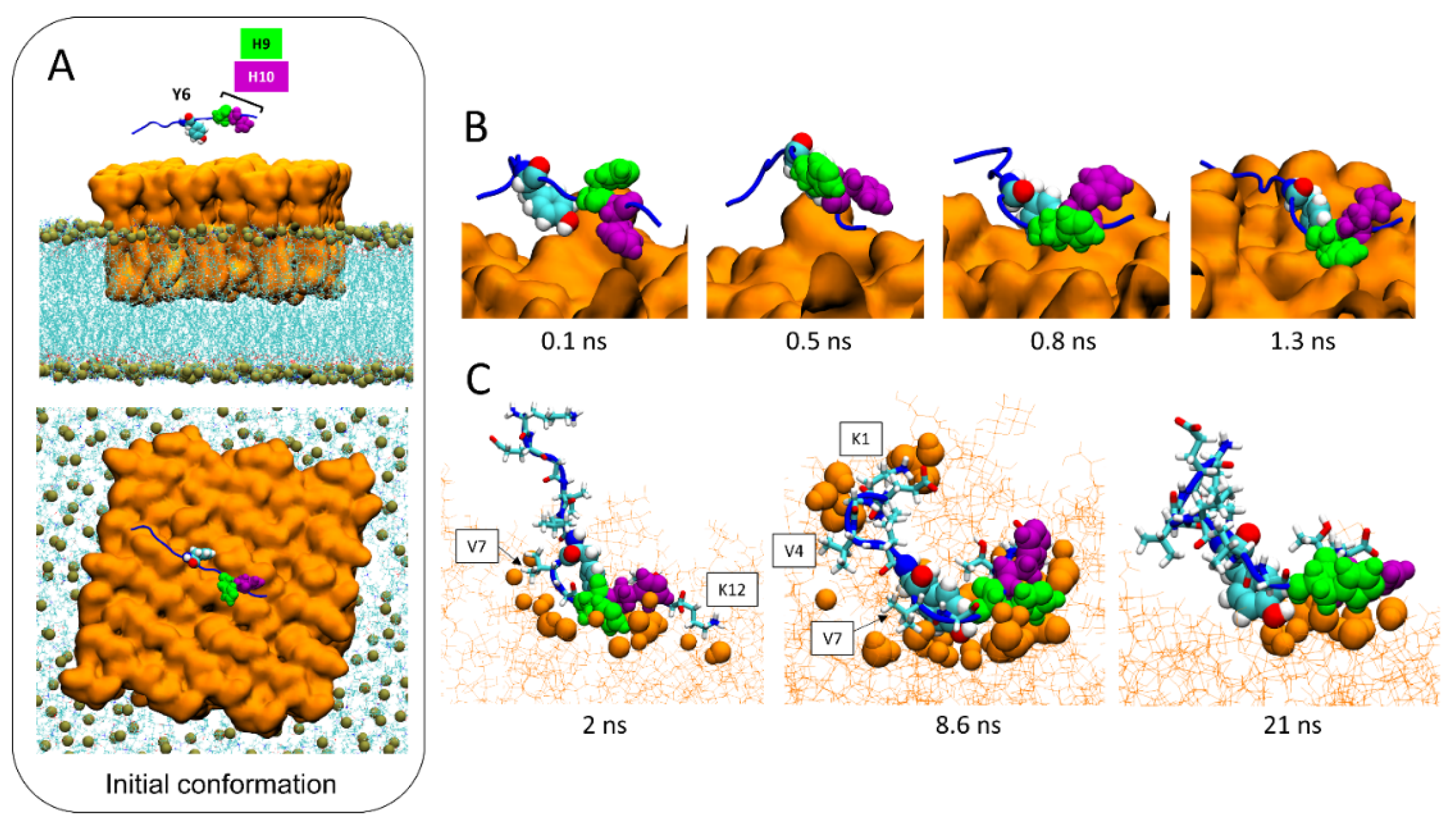 Ijms 24 01760 g006 Ijms 24 01760 g006
