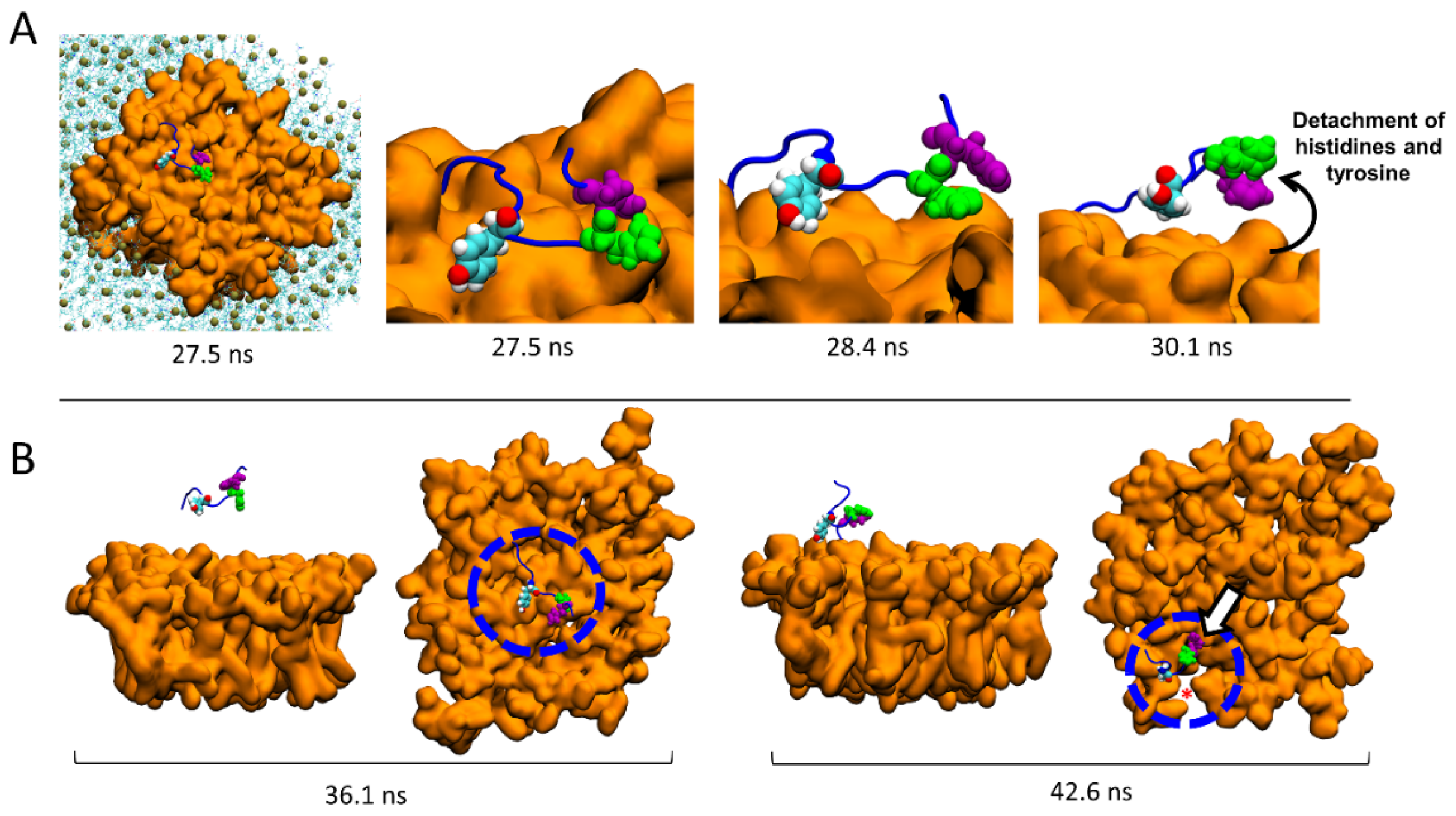 Ijms 24 01760 g007 Ijms 24 01760 g007