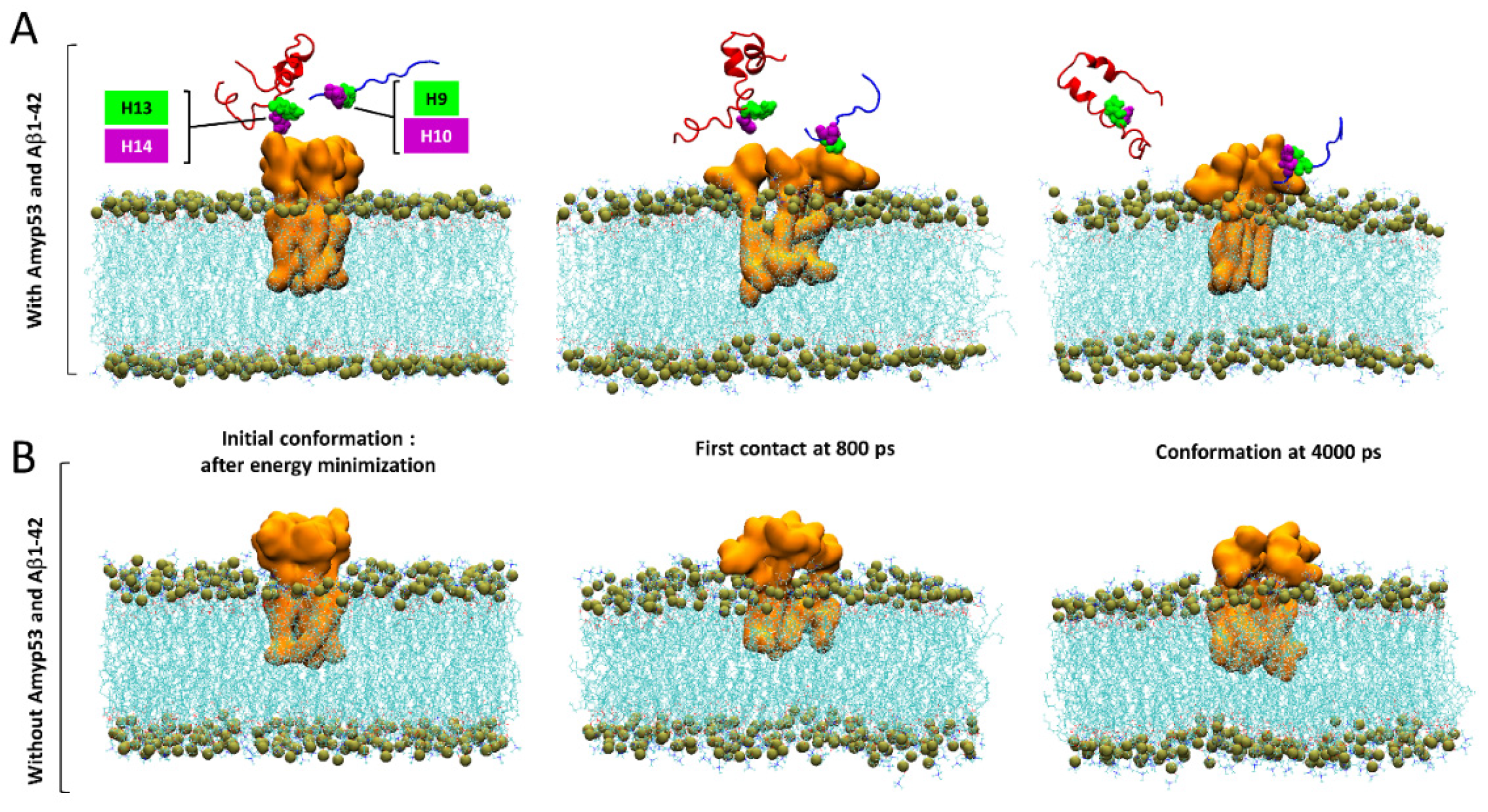 Ijms 24 01760 g010 Ijms 24 01760 g010