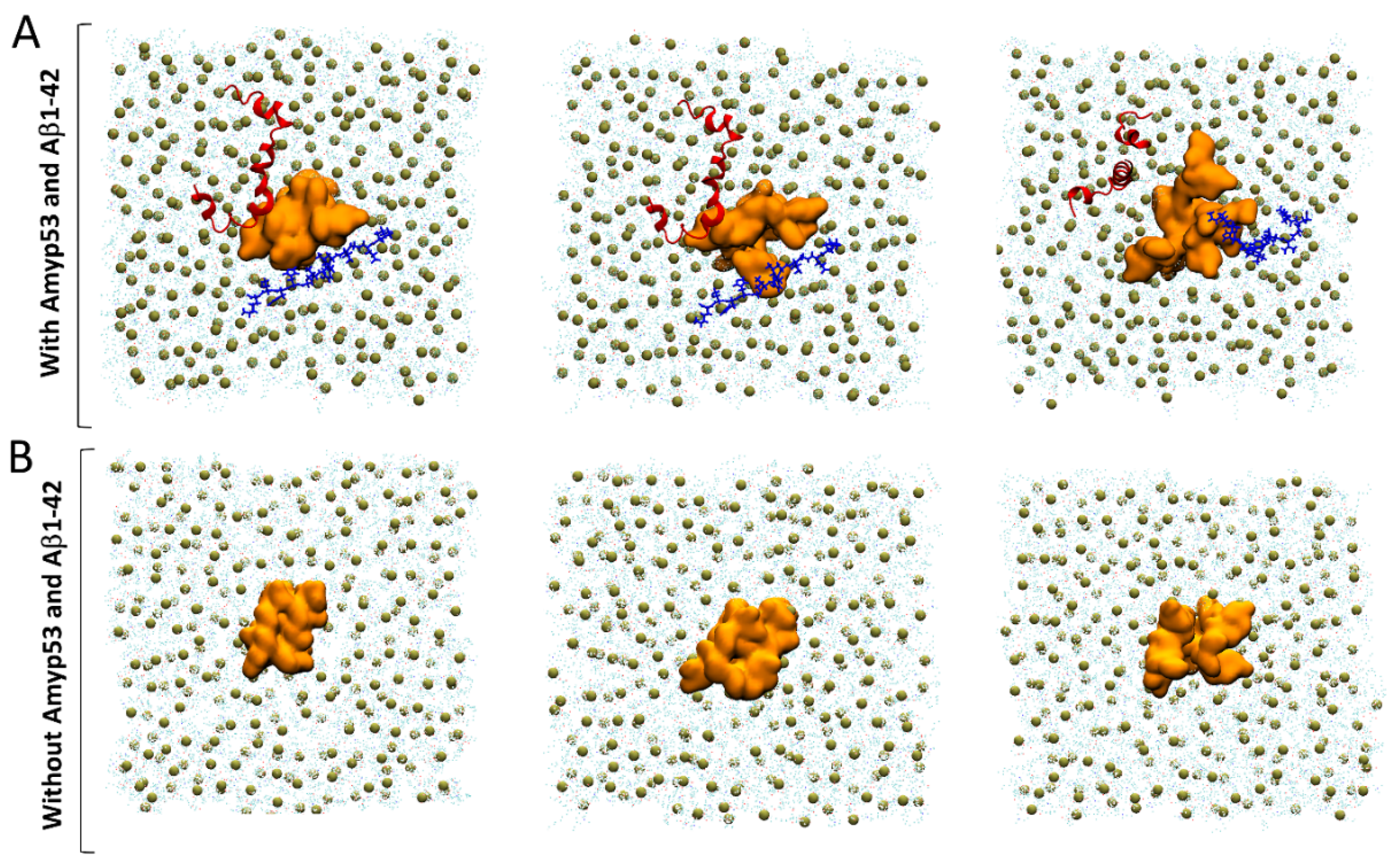 Ijms 24 01760 g011 Ijms 24 01760 g011