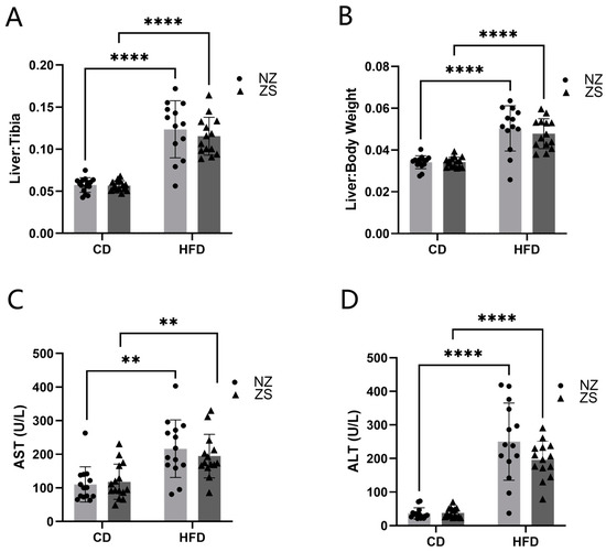 IJMS Free FullText Can Zinc Supplementation Attenuate High Fat
