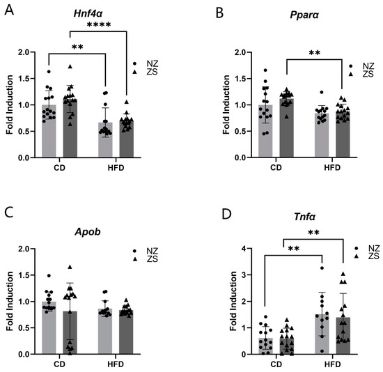 IJMS Free FullText Can Zinc Supplementation Attenuate High Fat
