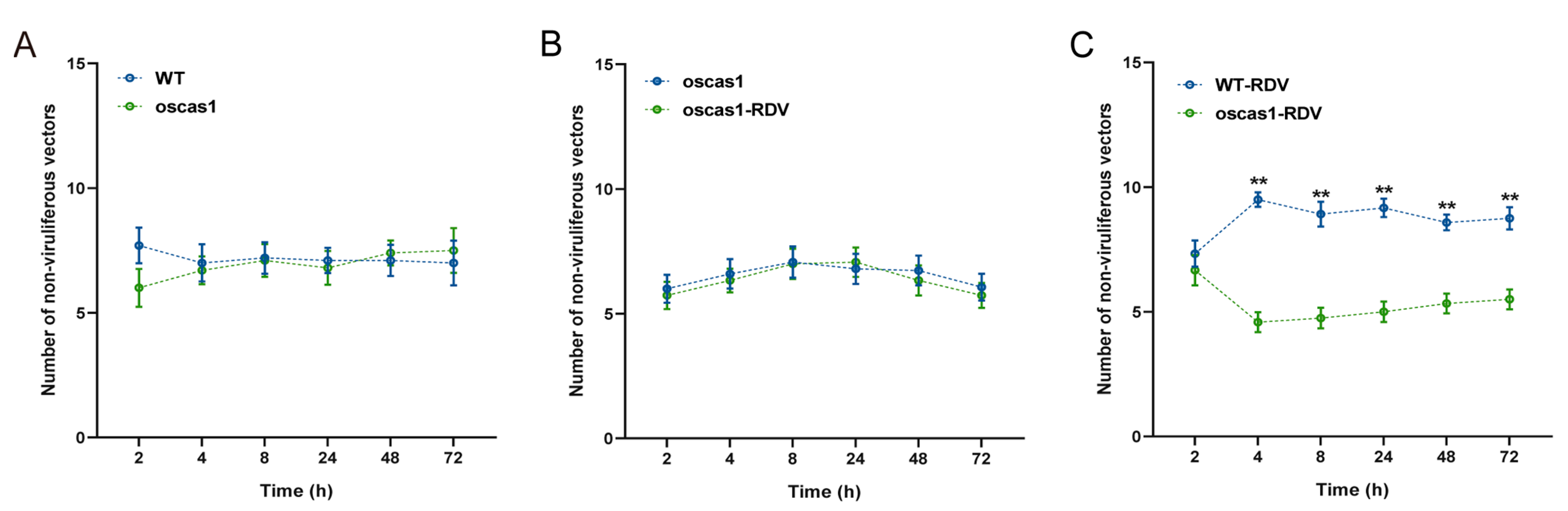 Ijms 24 01777 g004 Ijms 24 01777 g004