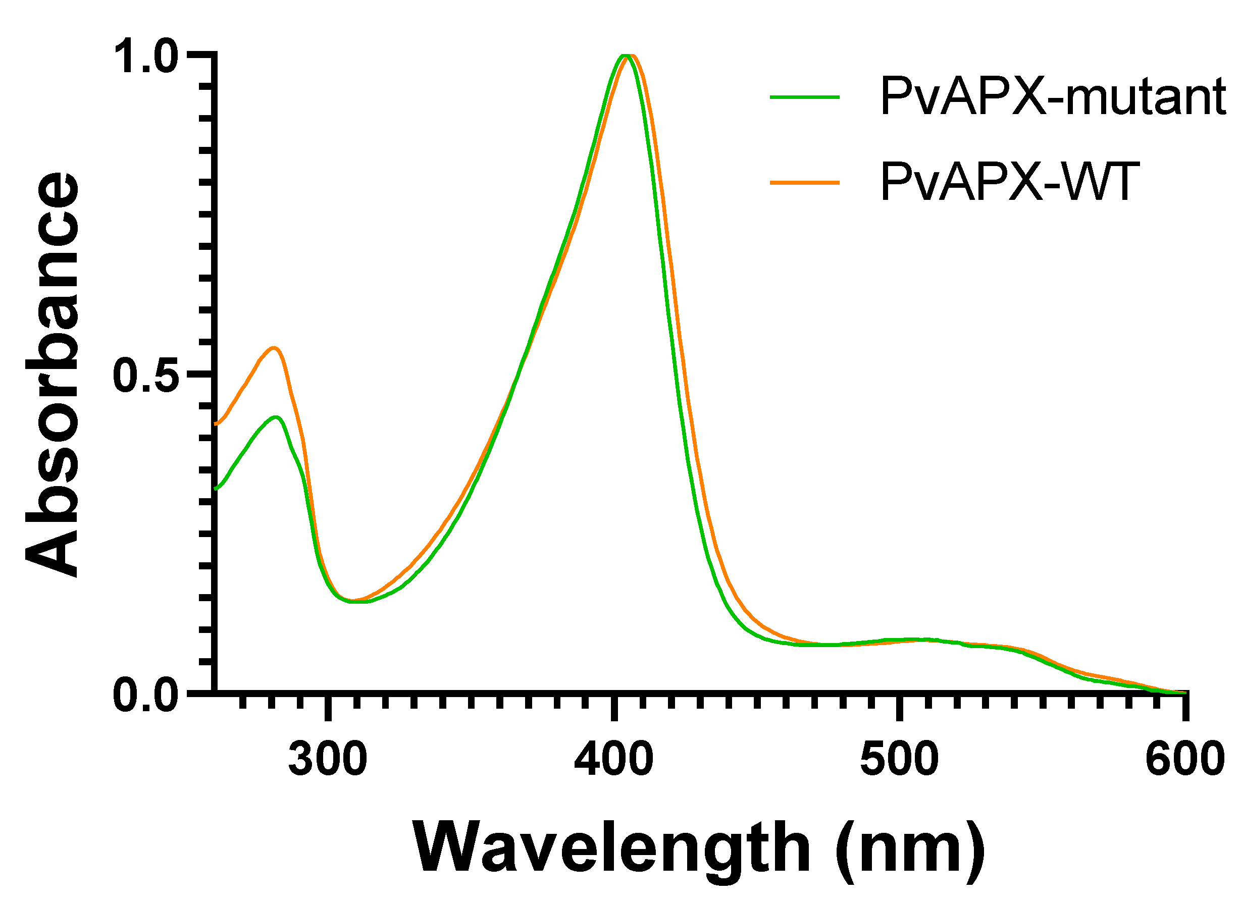 Ijms 24 01778 g001 Ijms 24 01778 g001