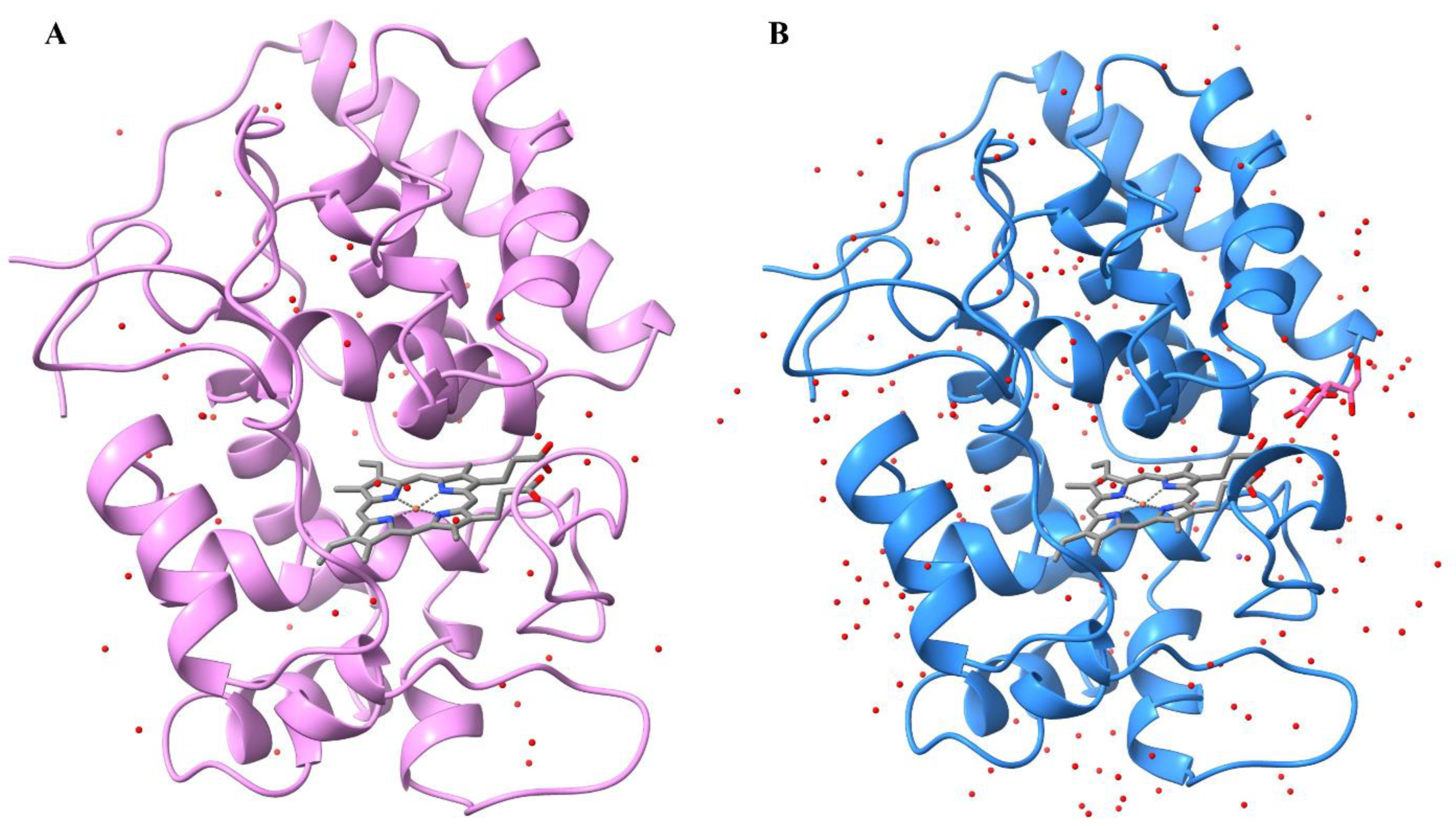 Ijms 24 01778 g002 Ijms 24 01778 g002