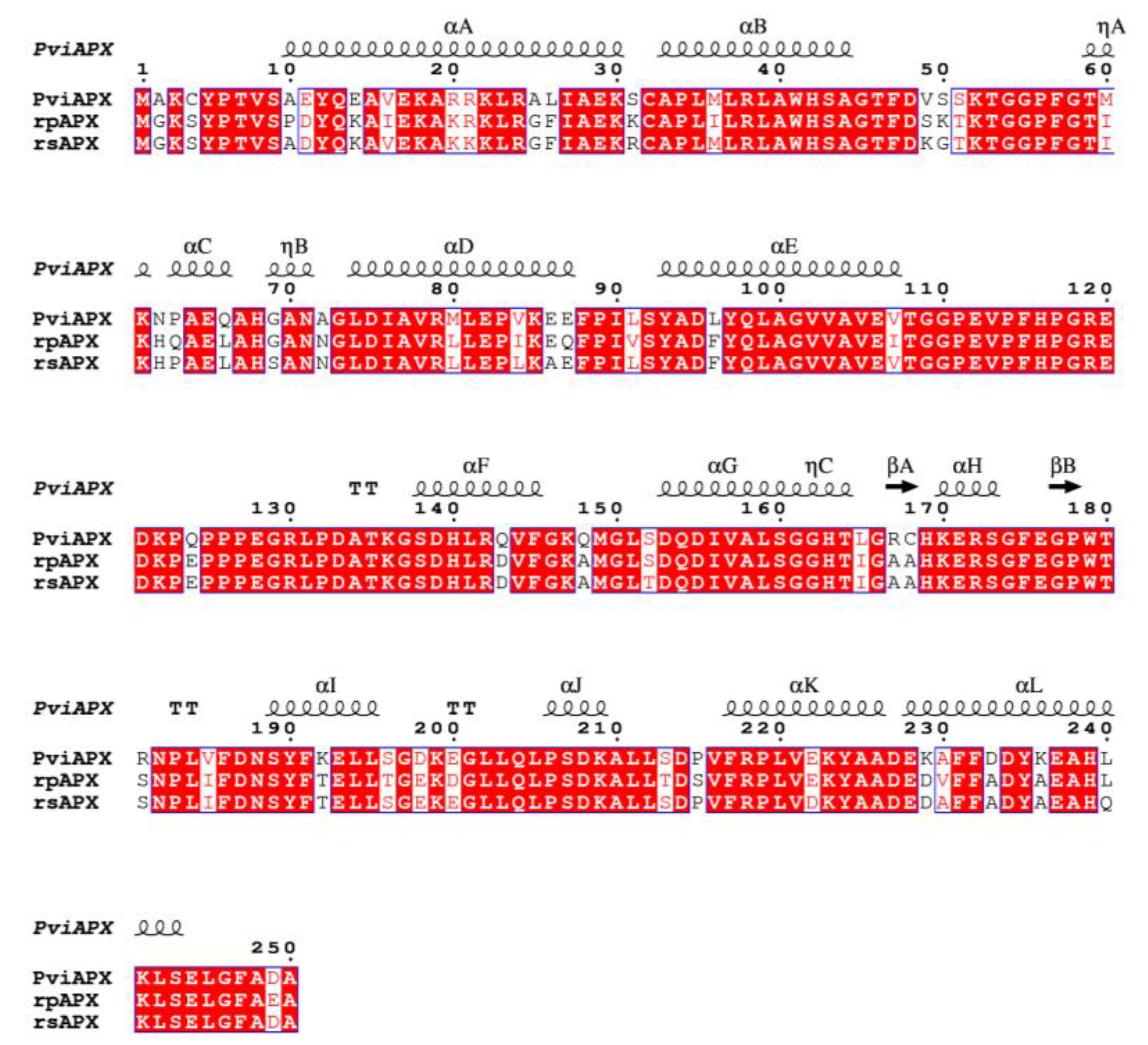 Ijms 24 01778 g003 Ijms 24 01778 g003