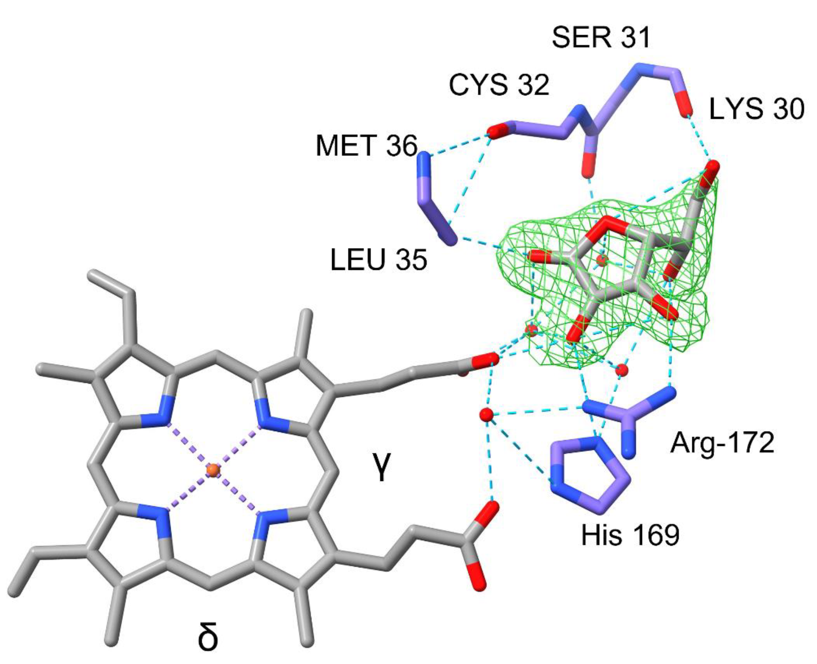 Ijms 24 01778 g004 Ijms 24 01778 g004