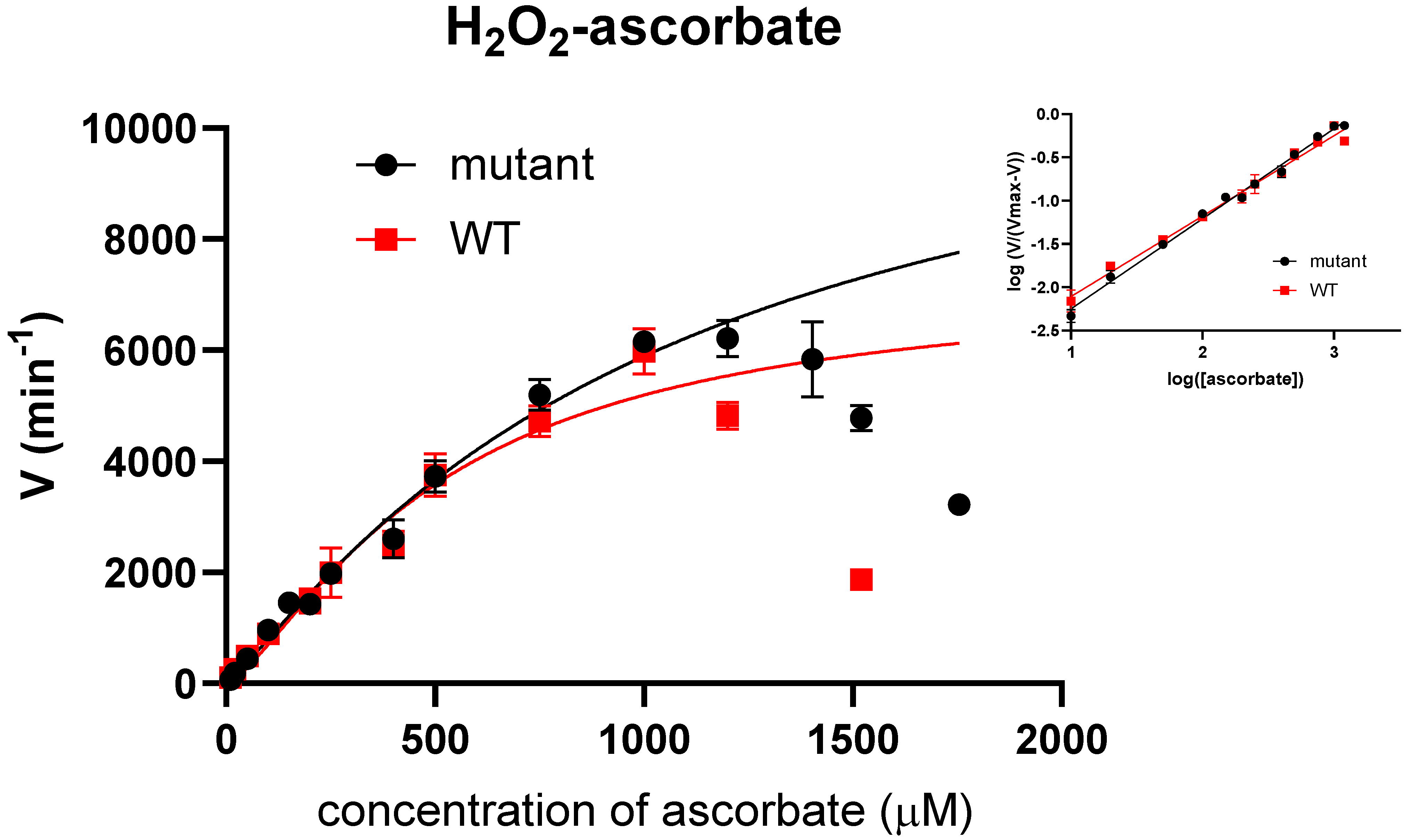 Ijms 24 01778 g005 Ijms 24 01778 g005