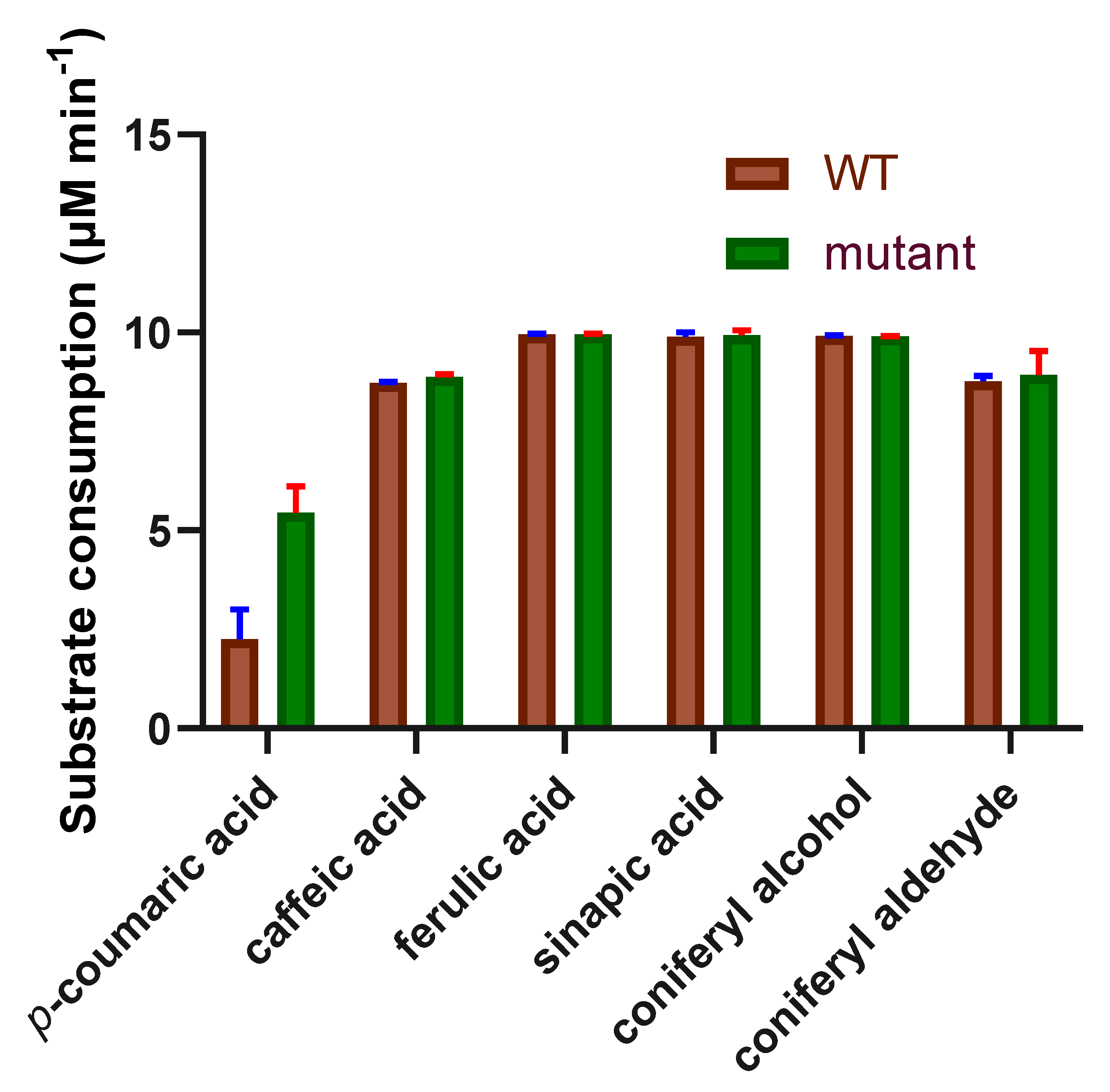 Ijms 24 01778 g006 Ijms 24 01778 g006