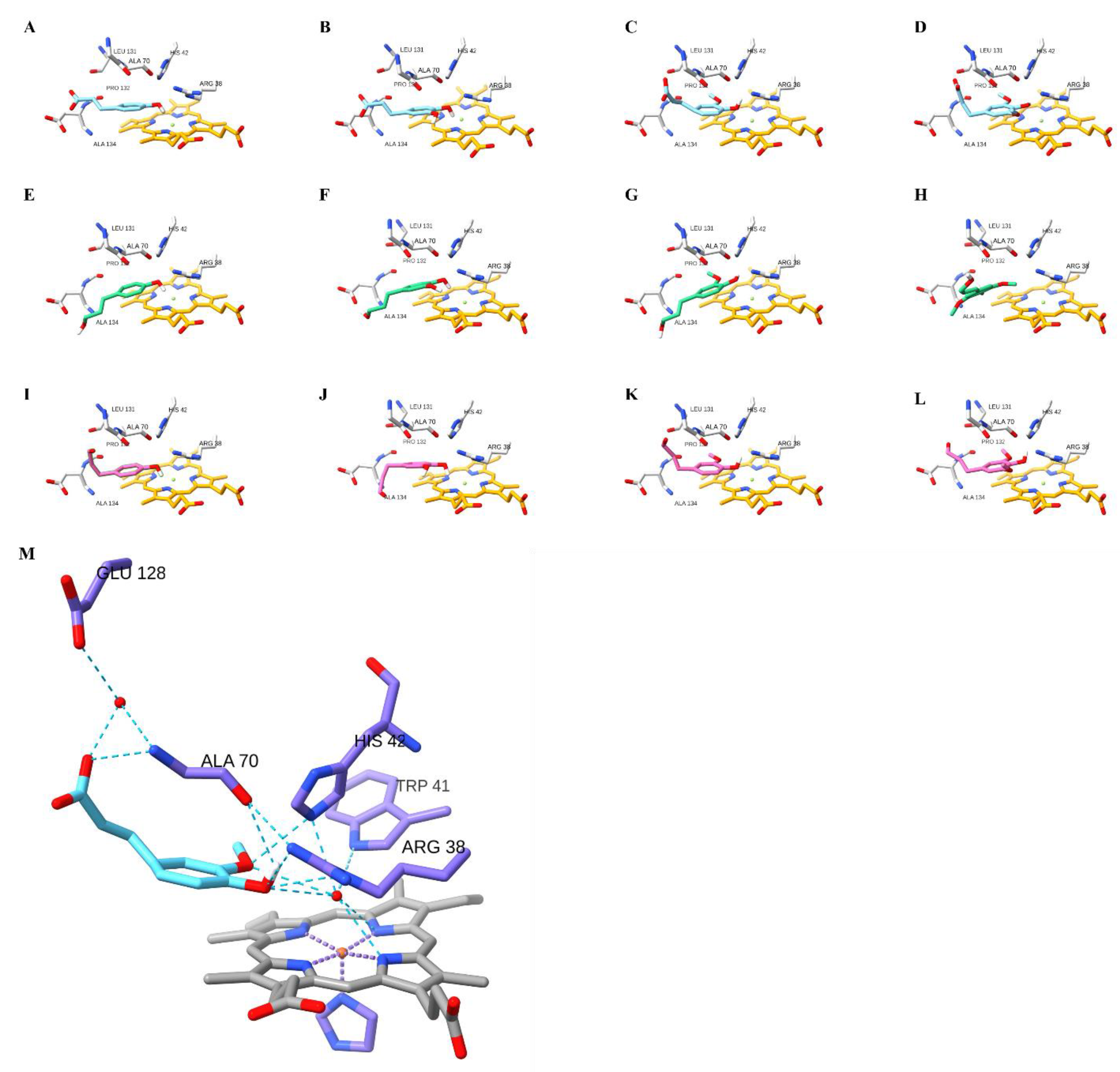 Ijms 24 01778 g007 Ijms 24 01778 g007