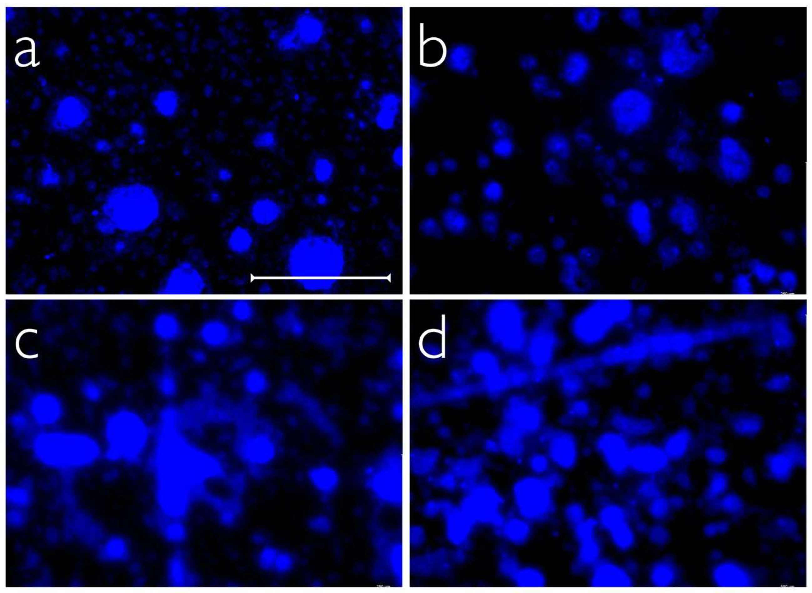 Ijms 24 01779 g003 Ijms 24 01779 g003