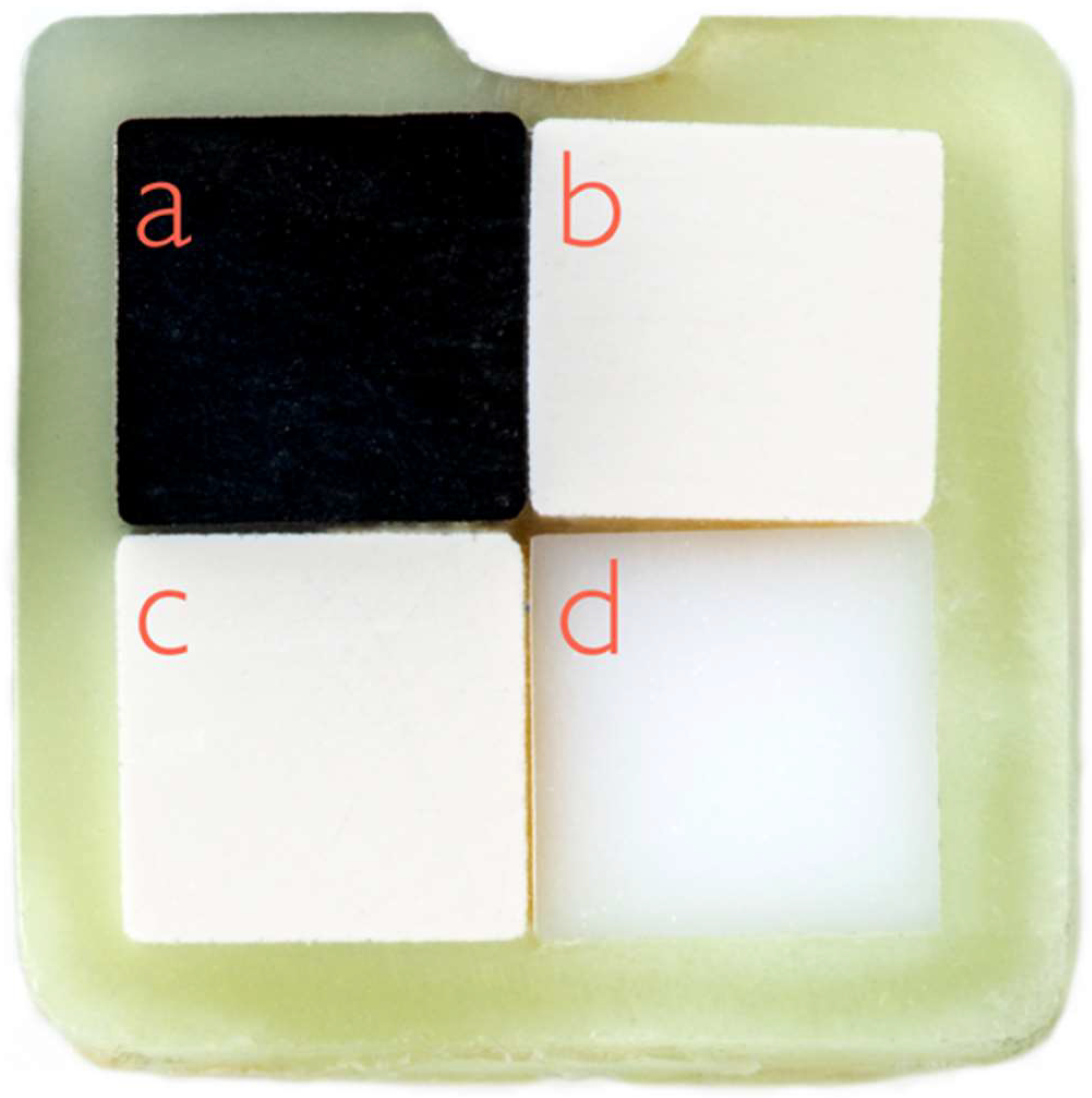 Ijms 24 01779 g004 Ijms 24 01779 g004