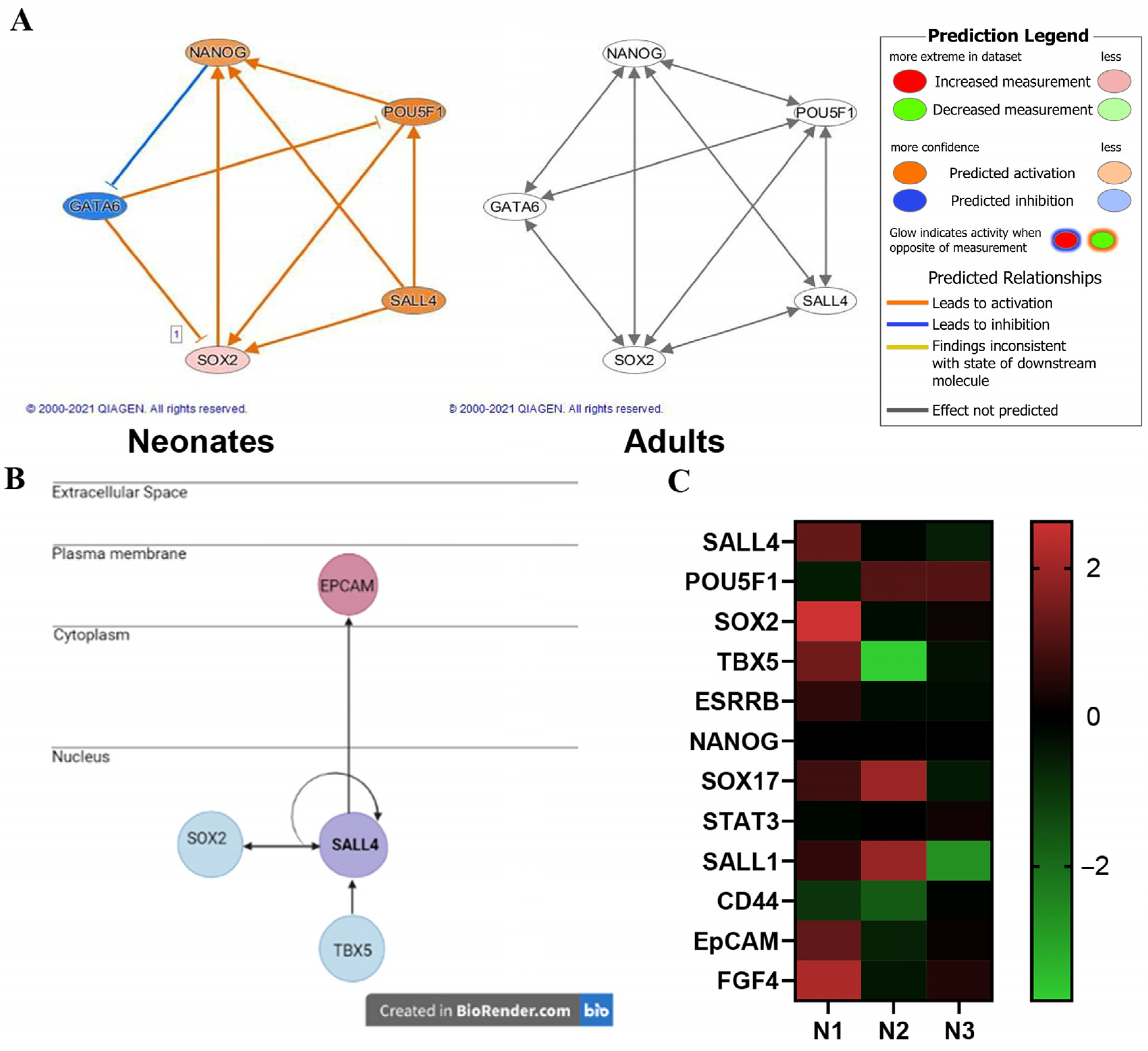 Ijms 24 01780 g003 Ijms 24 01780 g003