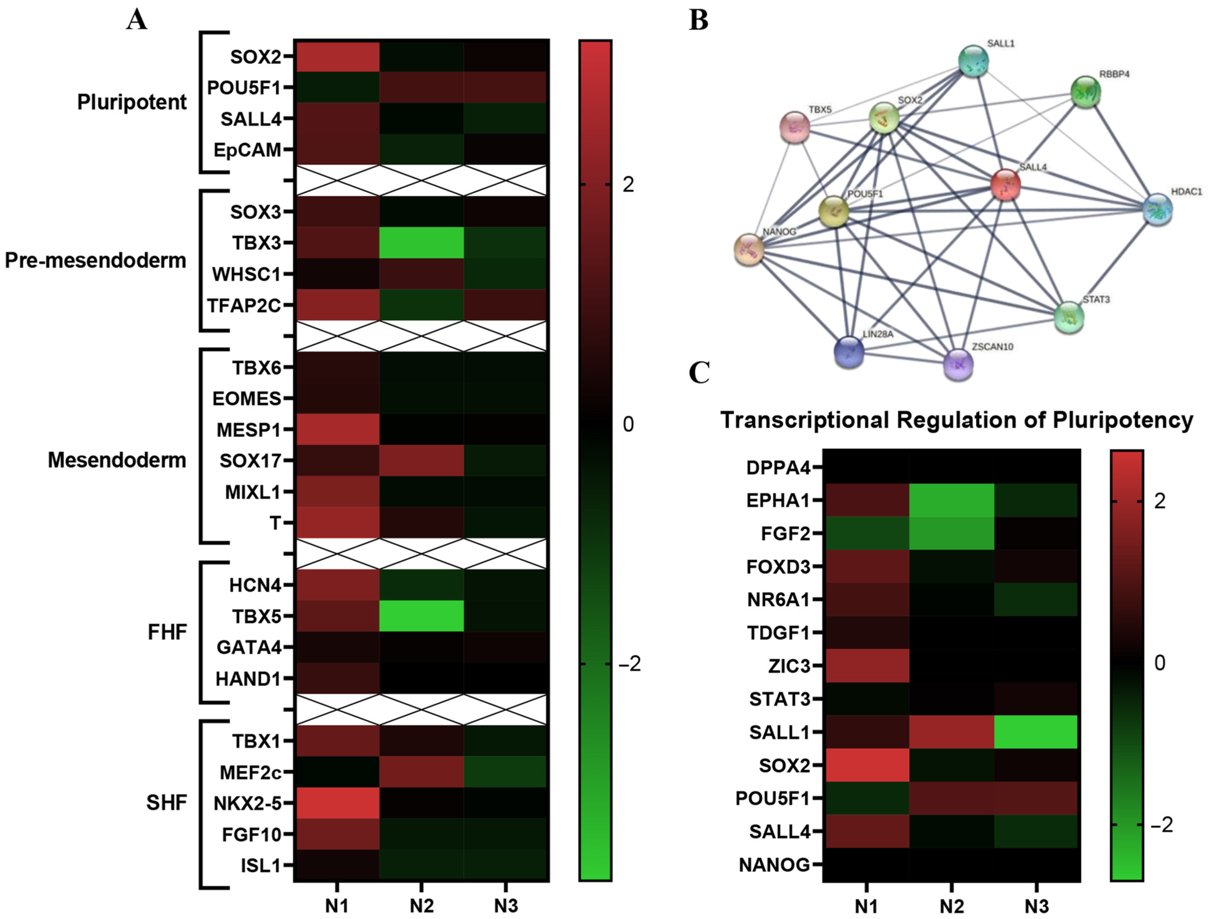 Ijms 24 01780 g004 Ijms 24 01780 g004