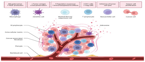 Targeting Cancer Stem Cells as the Key Driver of Carcinogenesis and ...