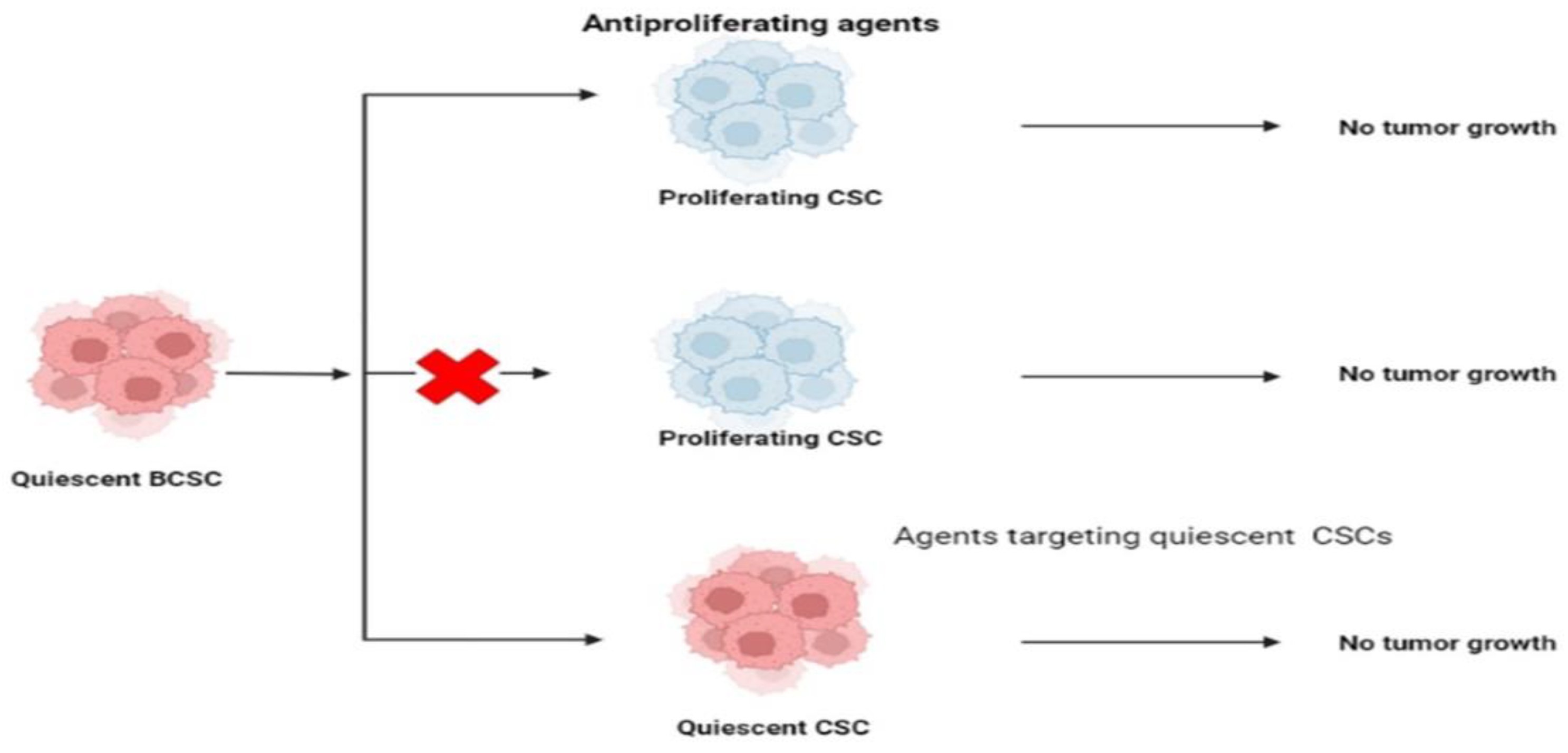 Ijms 24 01786 g006 Ijms 24 01786 g006