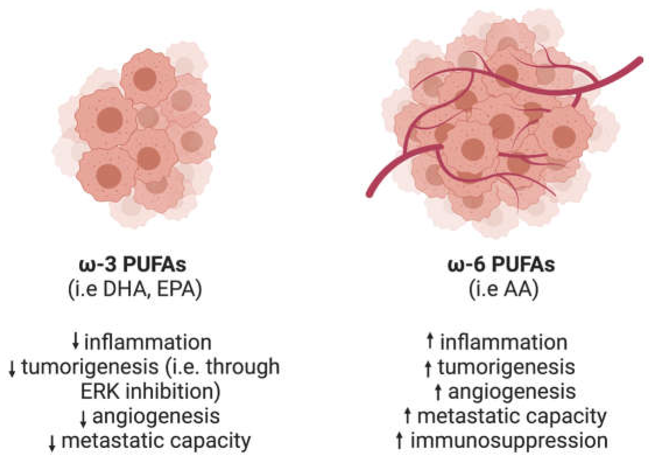 Ijms 24 01793 g002 Ijms 24 01793 g002