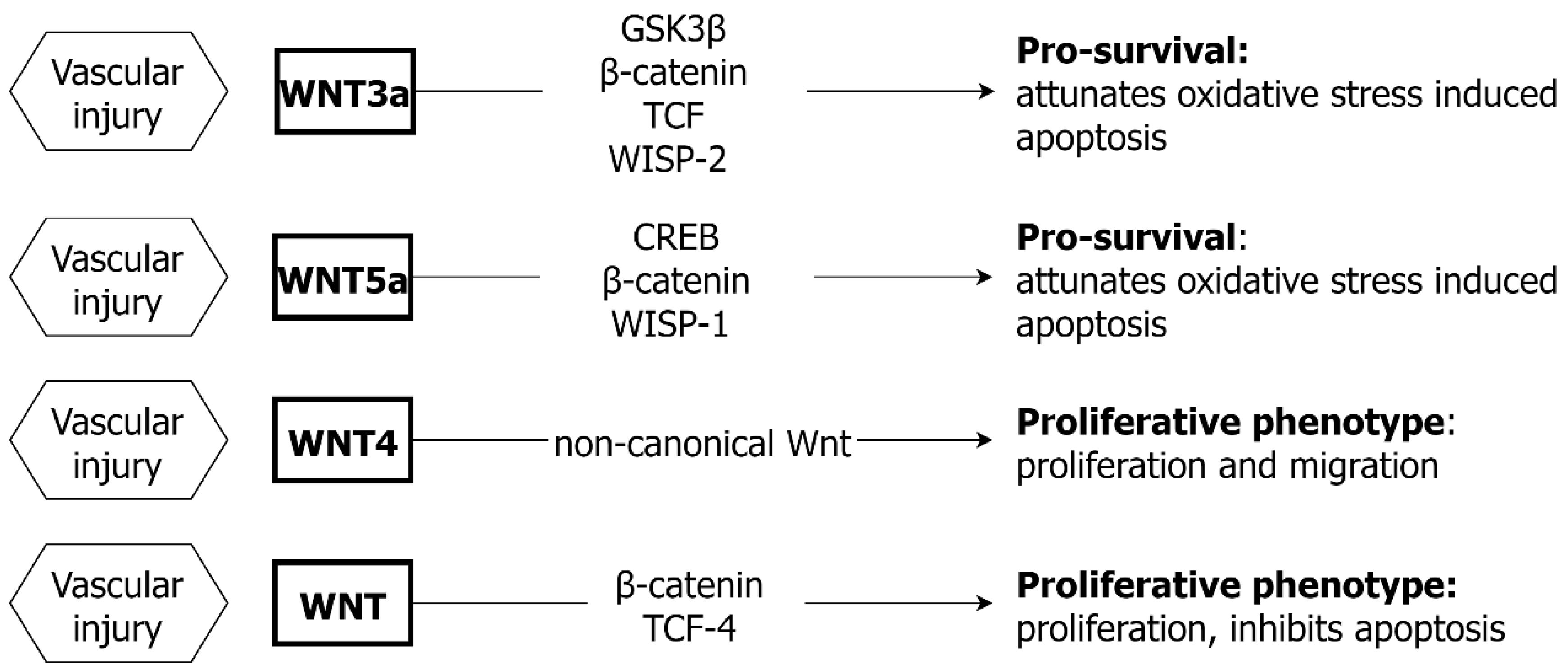 Ijms 24 01795 g003 Ijms 24 01795 g003