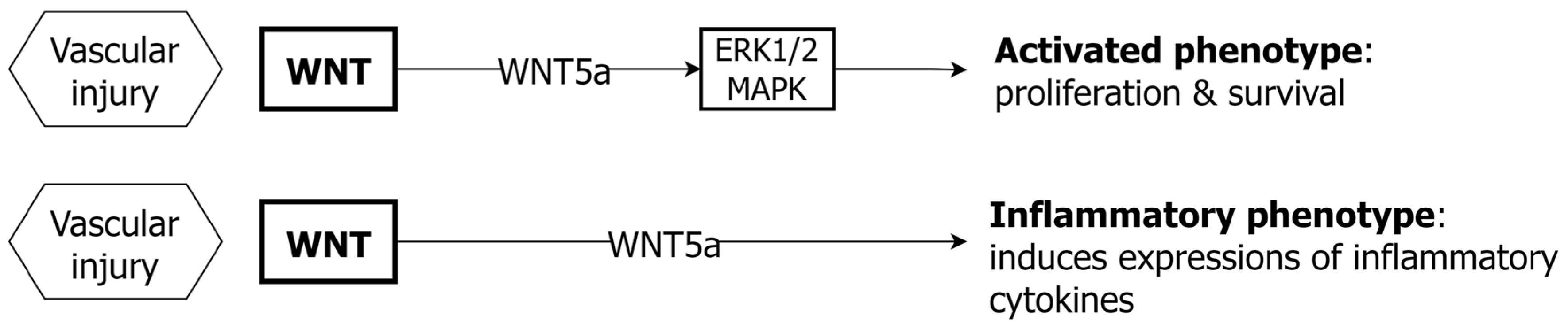 Ijms 24 01795 g004 Ijms 24 01795 g004