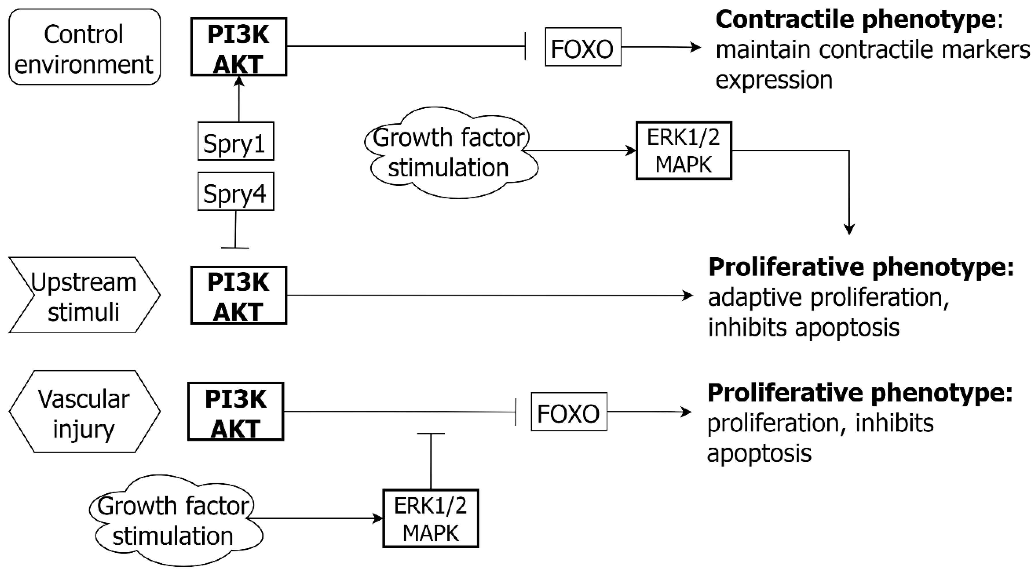 Ijms 24 01795 g005 Ijms 24 01795 g005