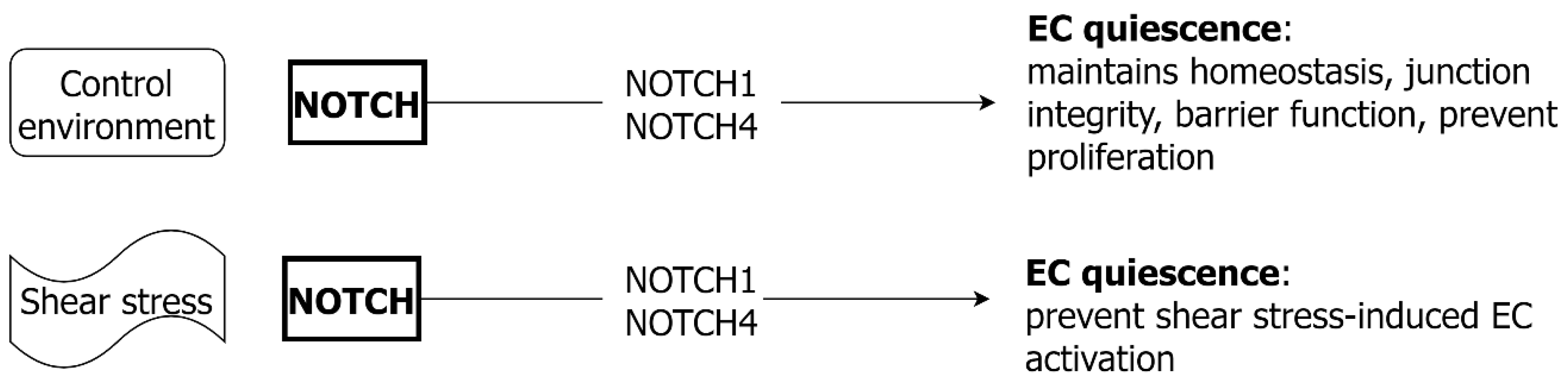 Ijms 24 01795 g008 Ijms 24 01795 g008