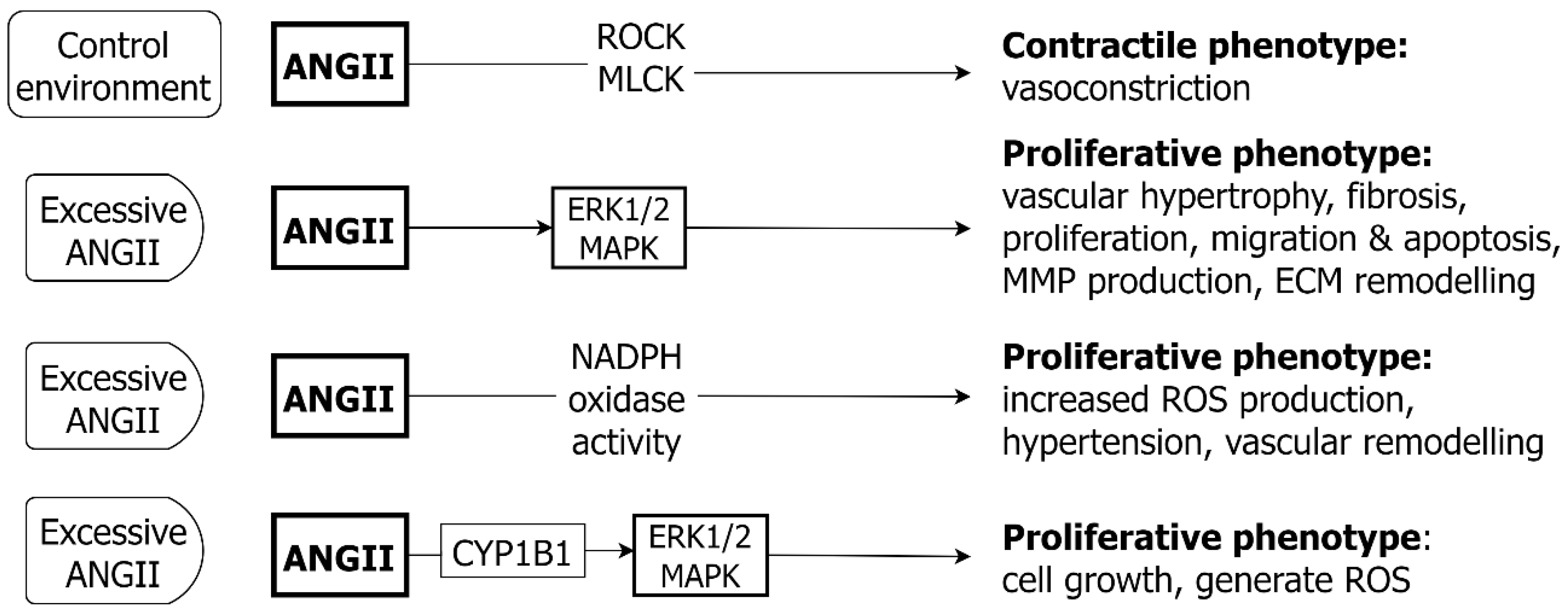 Ijms 24 01795 g009 Ijms 24 01795 g009