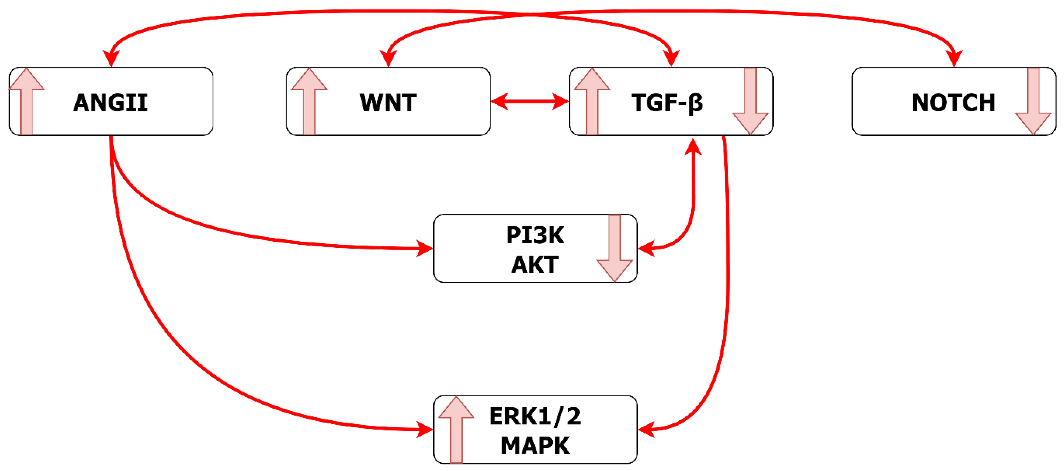 Ijms 24 01795 g012 Ijms 24 01795 g012