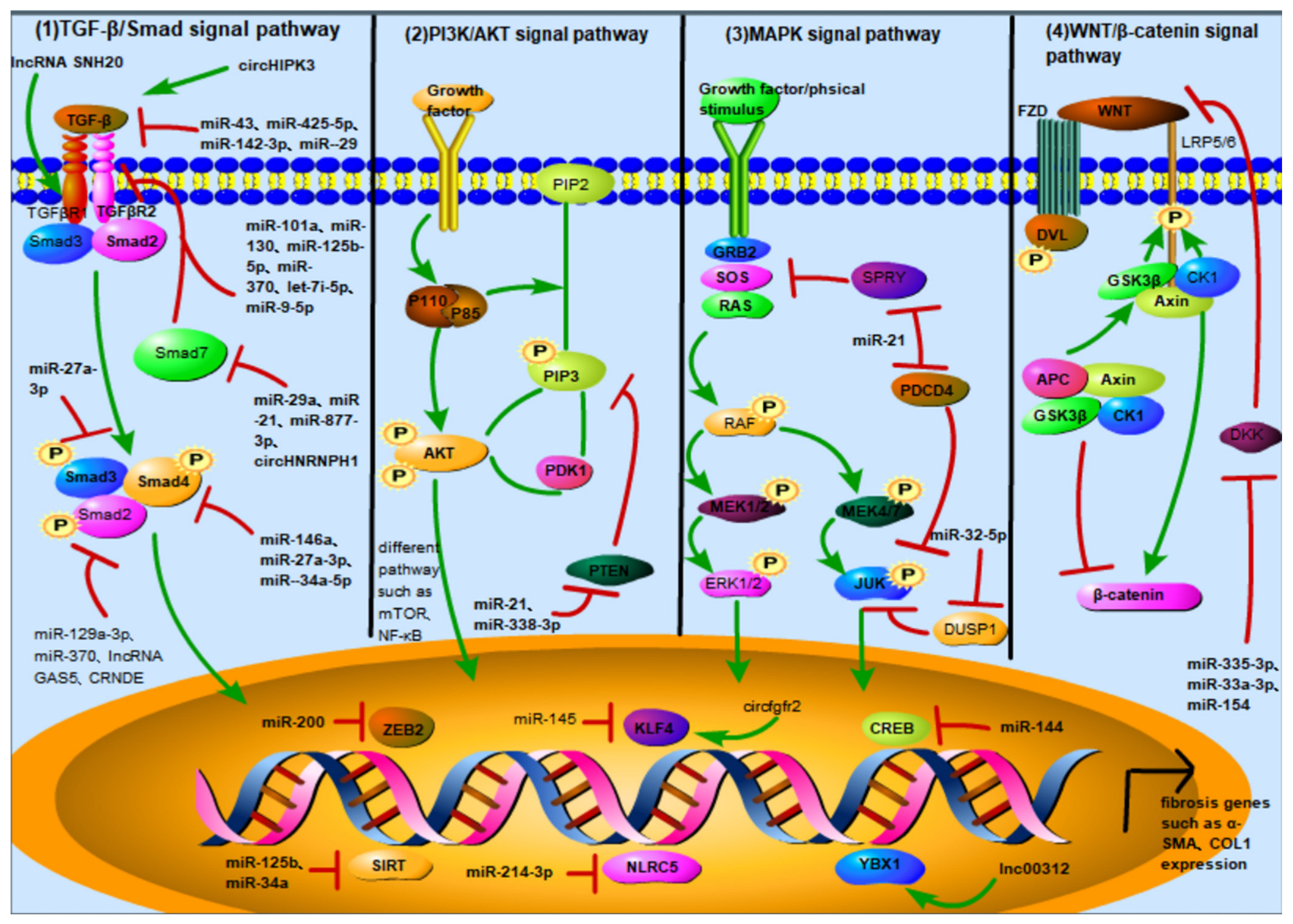 Ijms 24 01801 g001 Ijms 24 01801 g001