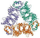 Ijms 24 01804 i002 Ijms 24 01804 i002