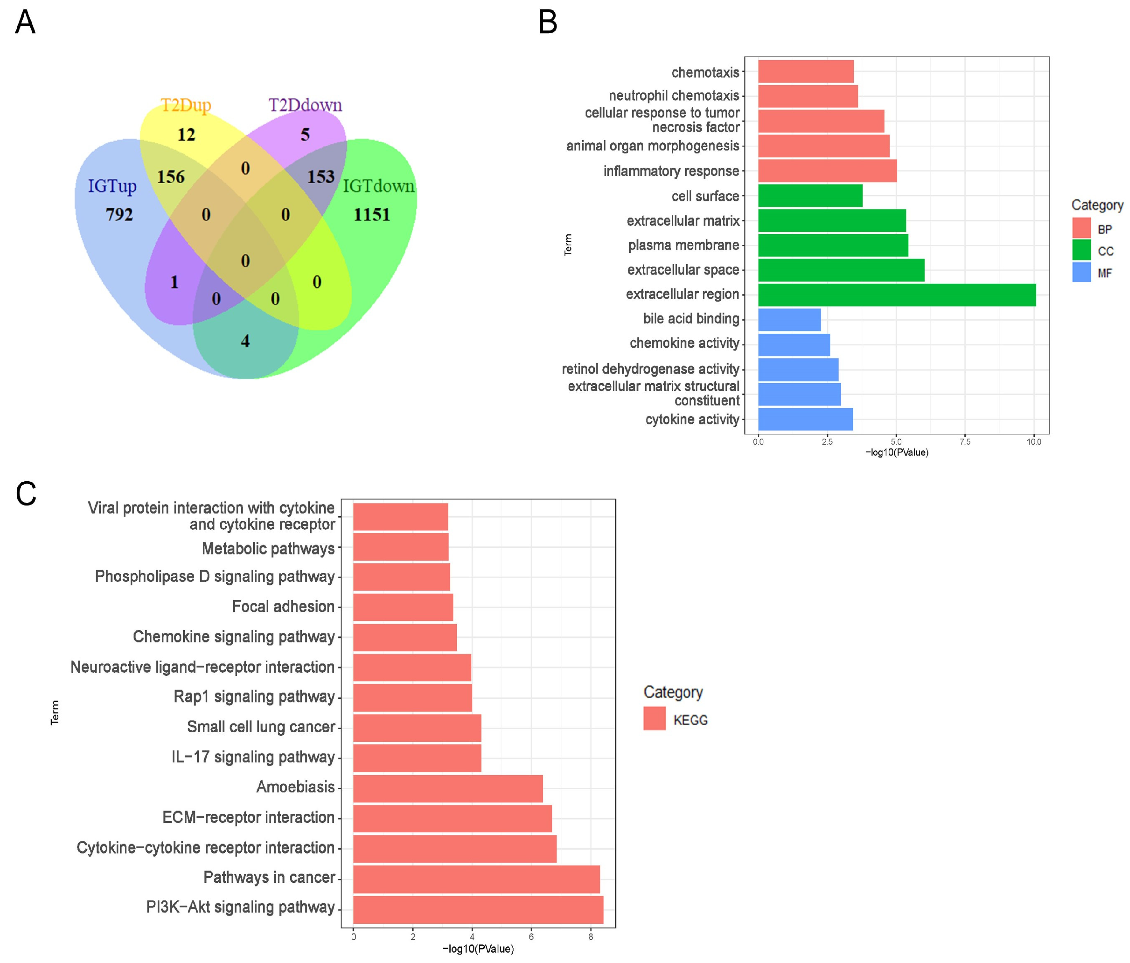 Ijms 24 01807 g002 Ijms 24 01807 g002