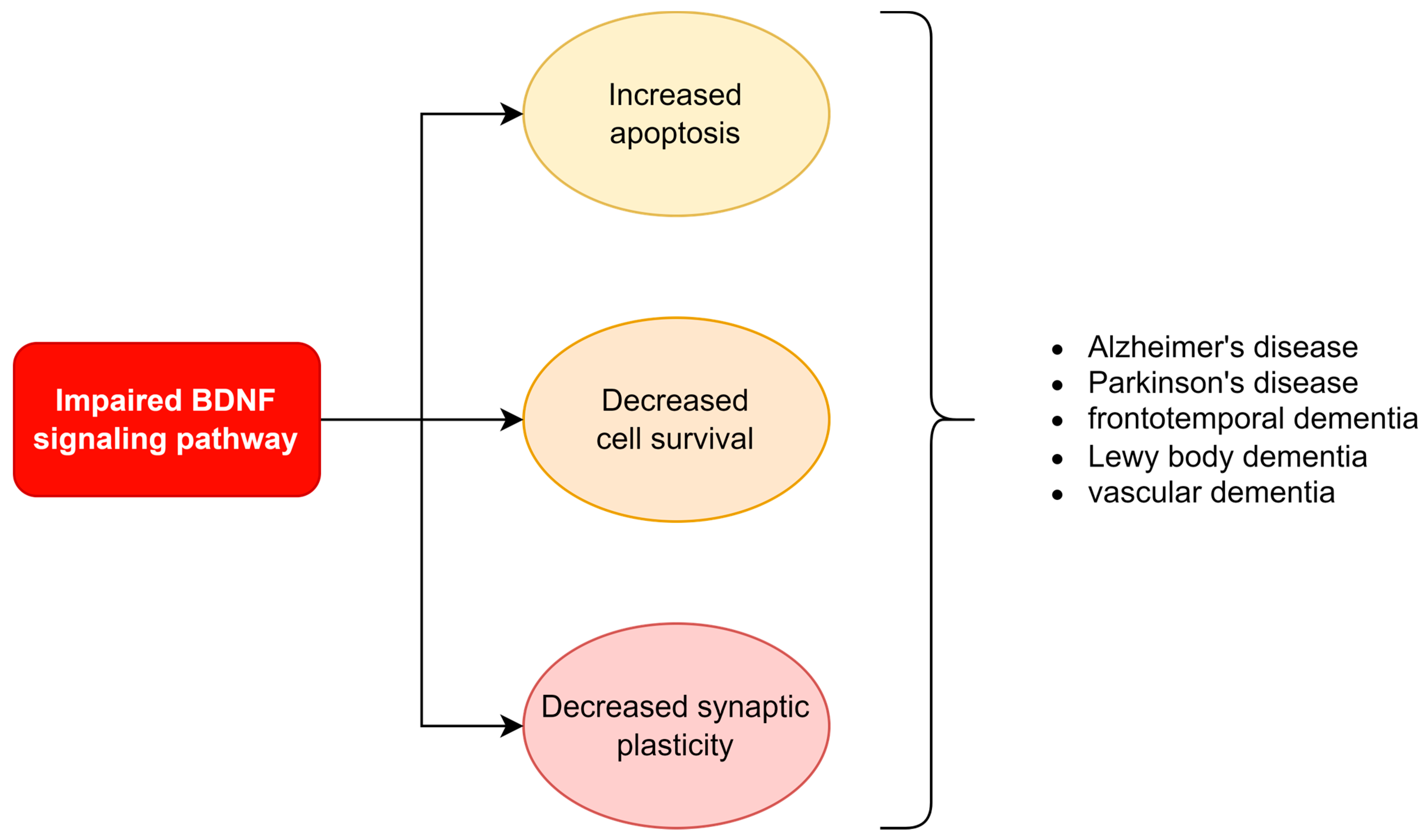 Ijms 24 01808 g003 Ijms 24 01808 g003