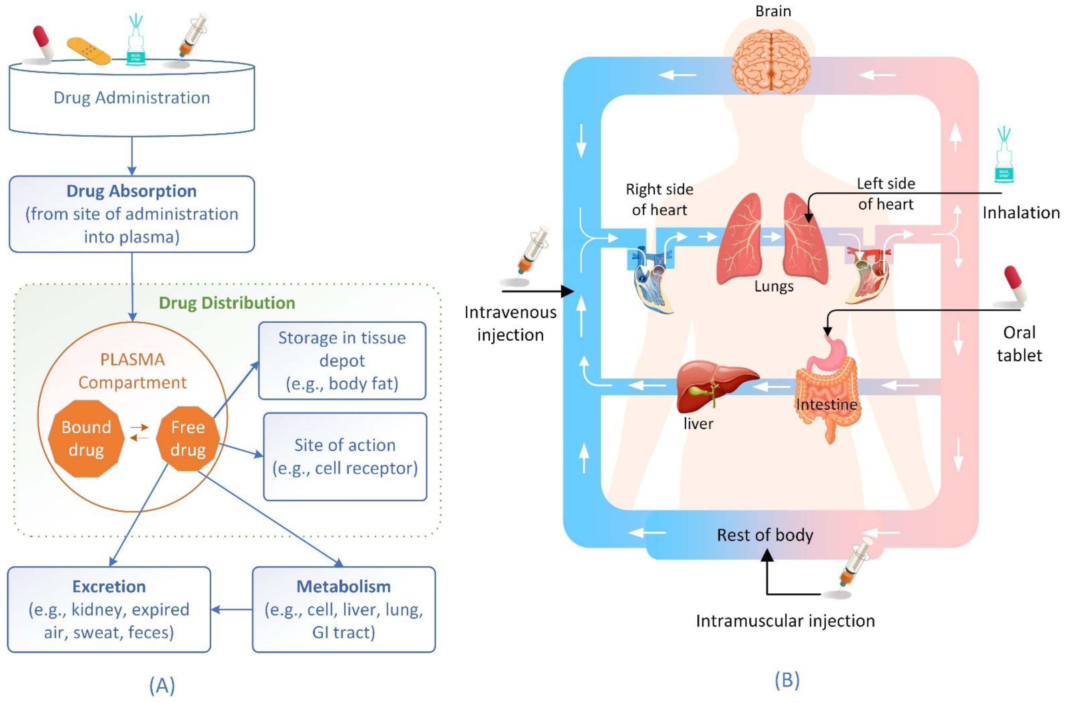 Descriptor-Free Deep Learning QSAR Model for the Fraction Unbound in Human  Plasma