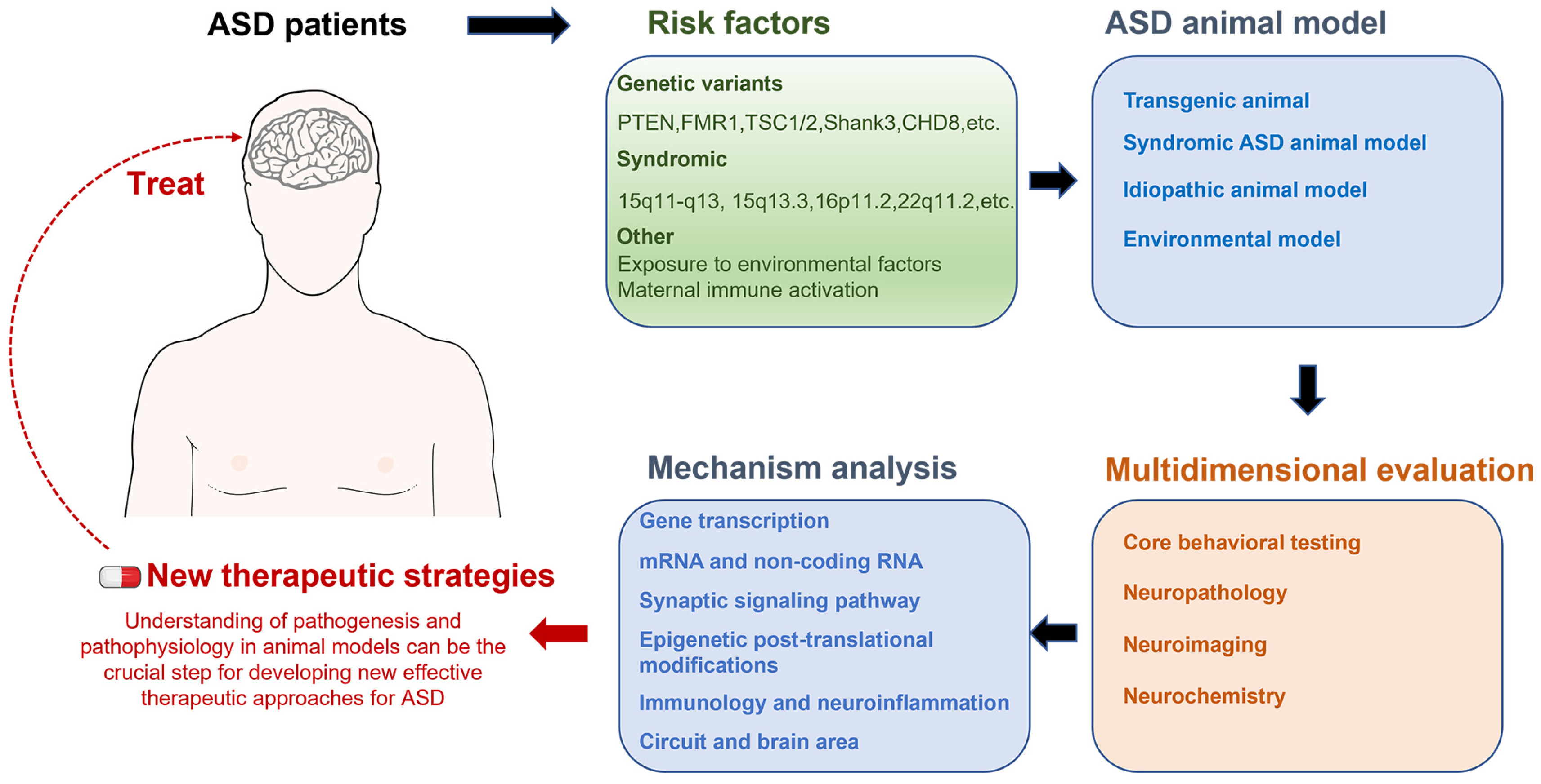 Autism Spectrum Disorder