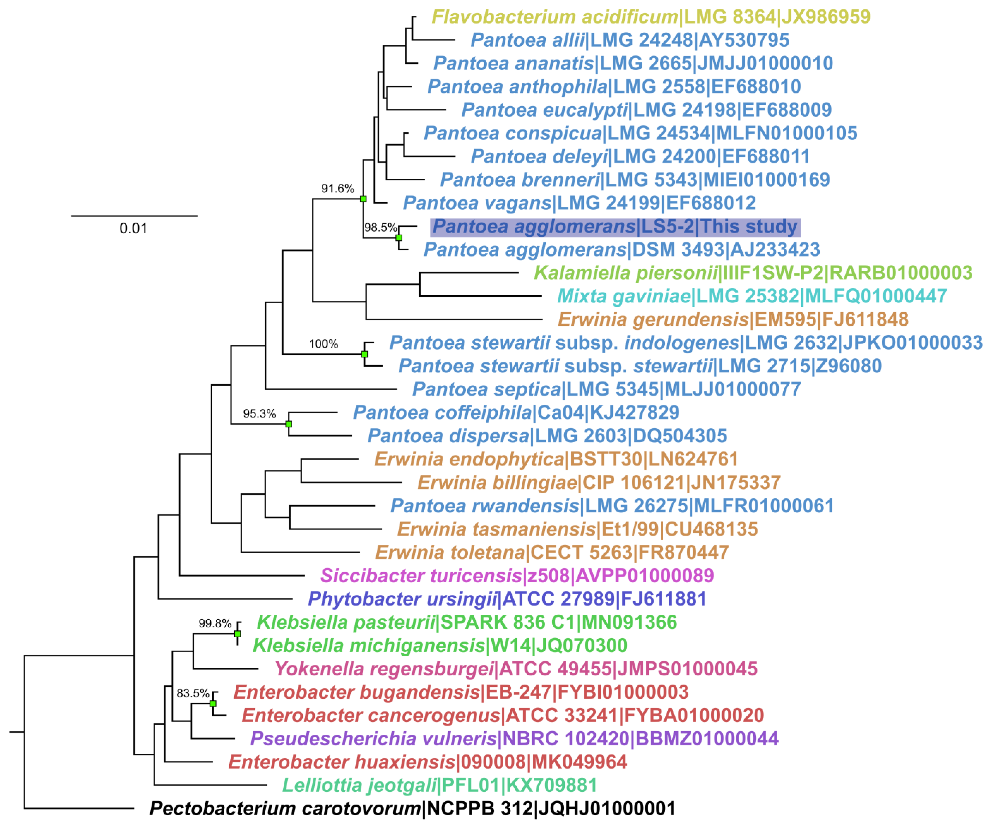 Ijms 24 01820 g001 Ijms 24 01820 g001