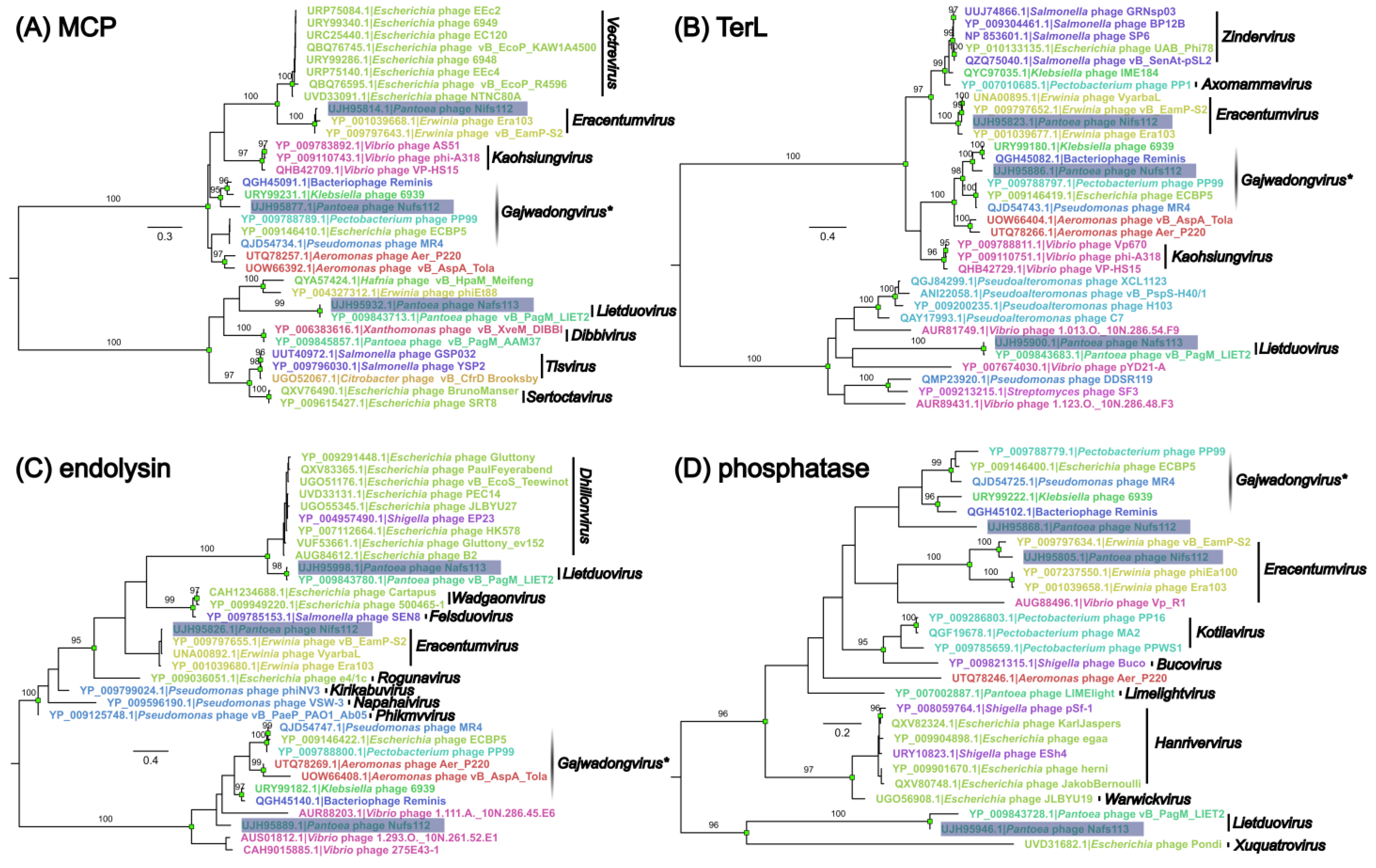Ijms 24 01820 g003 Ijms 24 01820 g003
