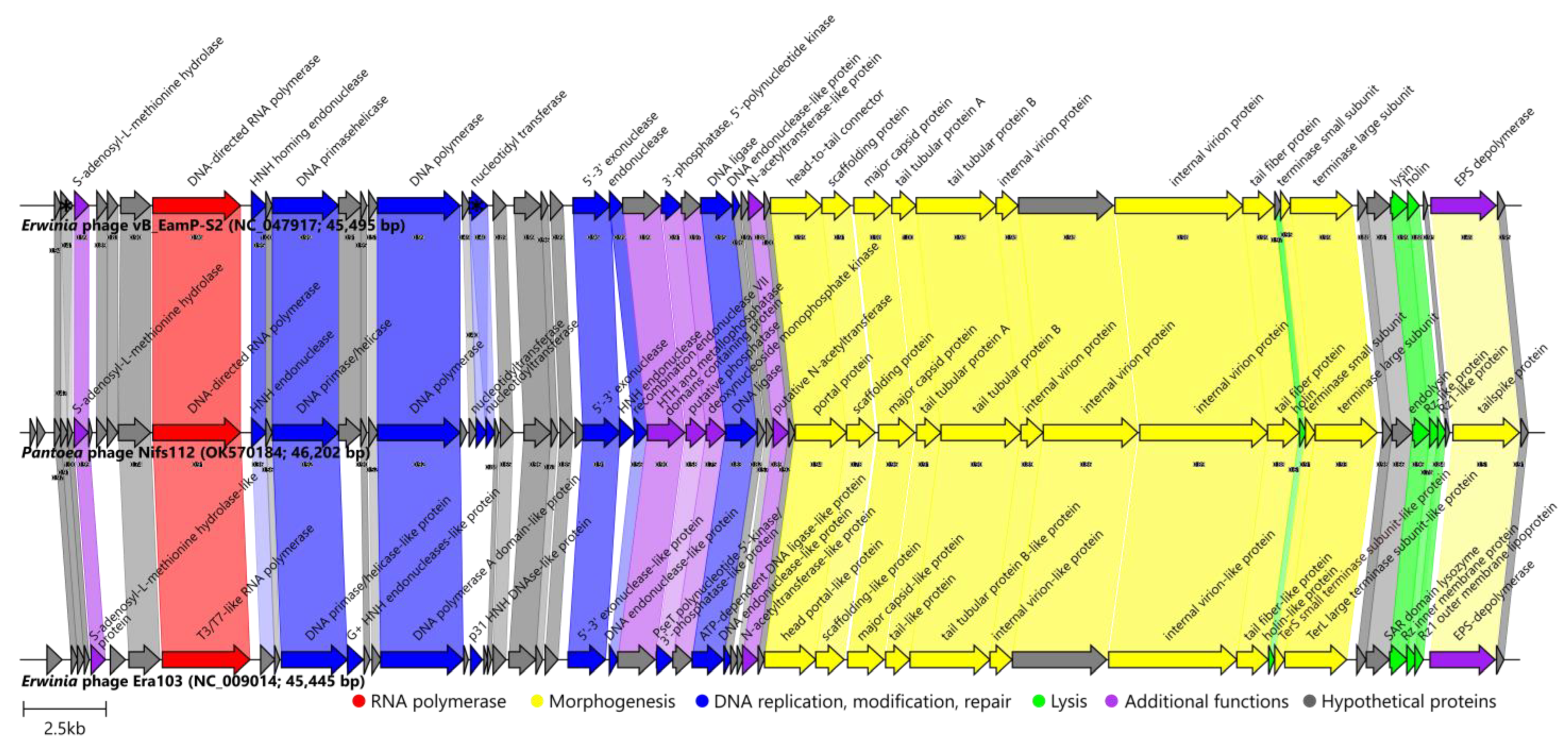 Ijms 24 01820 g006 Ijms 24 01820 g006