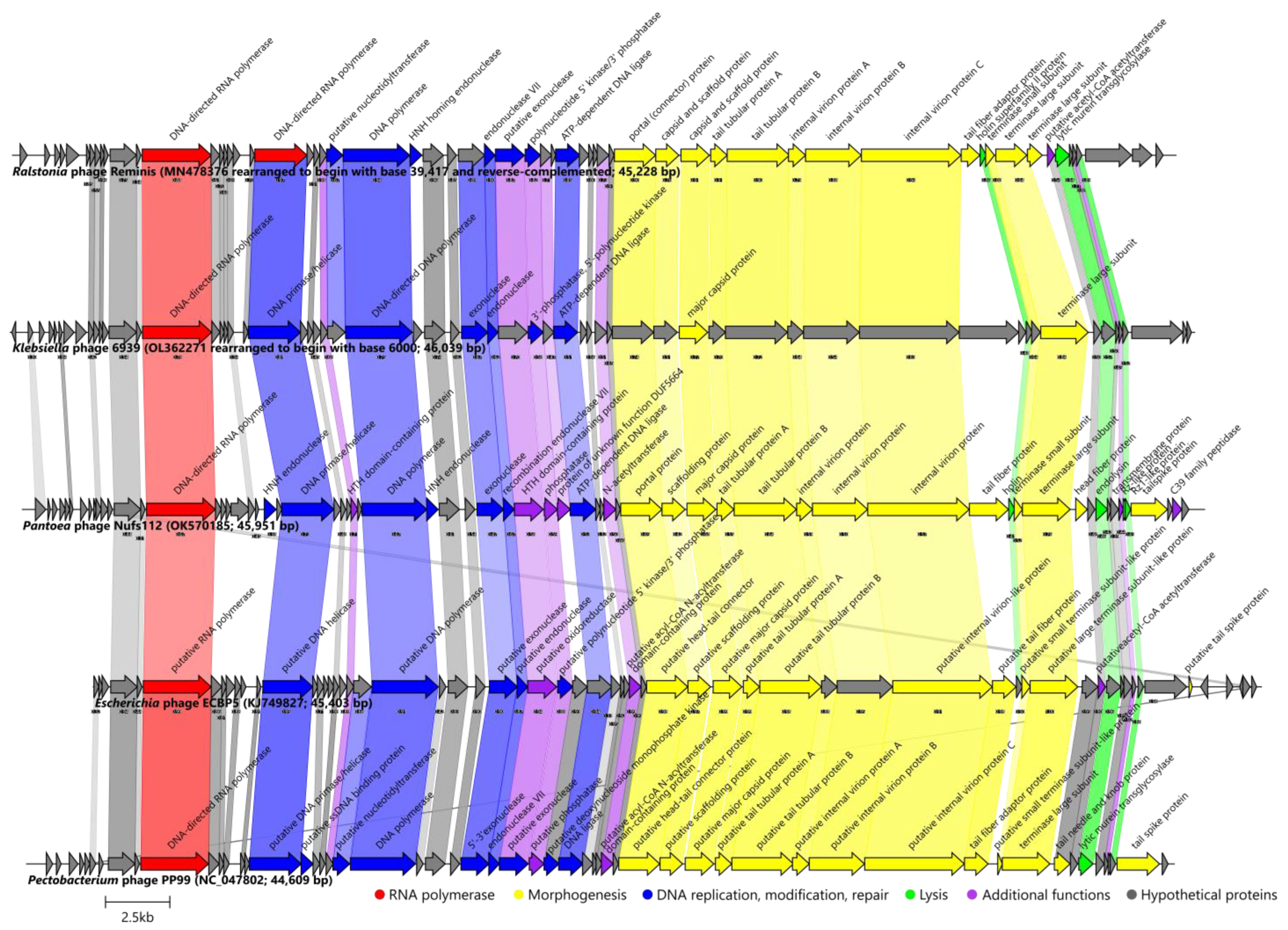 Ijms 24 01820 g007 Ijms 24 01820 g007