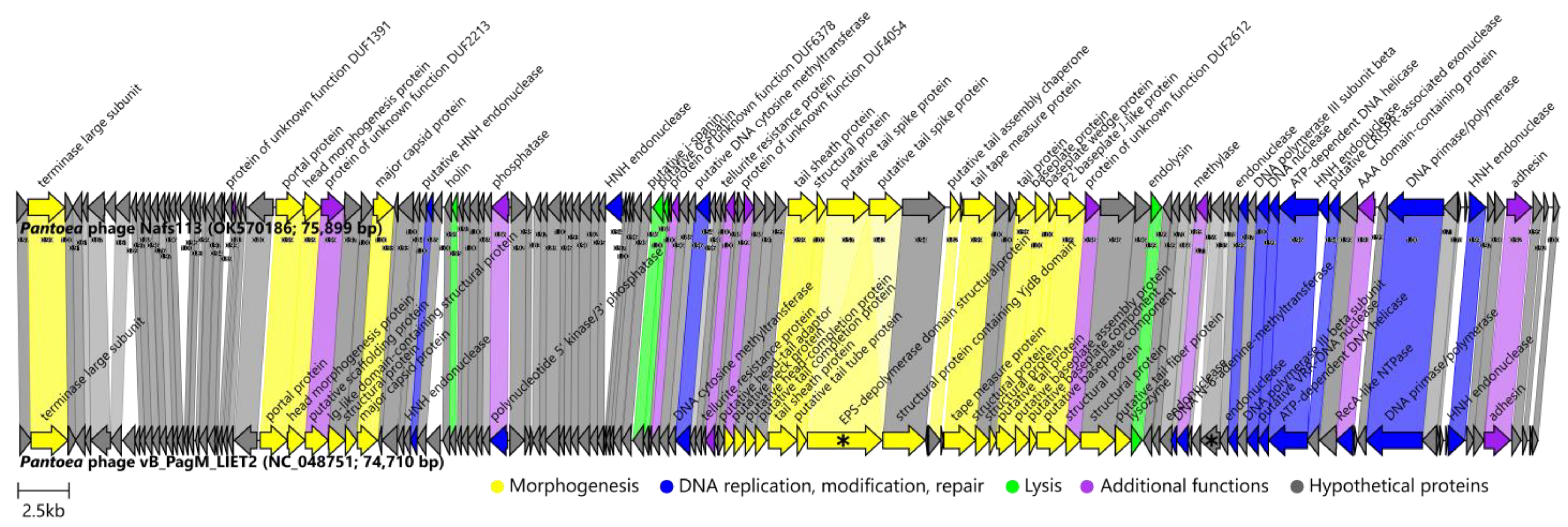 Ijms 24 01820 g008 Ijms 24 01820 g008