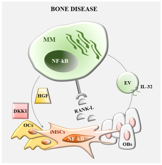Role of NF-κB Signaling in the Interplay between Multiple Myeloma and ...