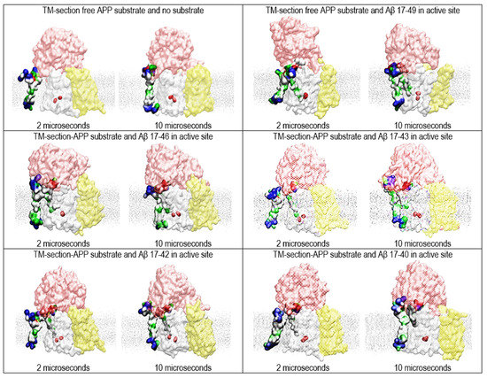 The Binding of Different Substrate Molecules at the Docking Site and ...