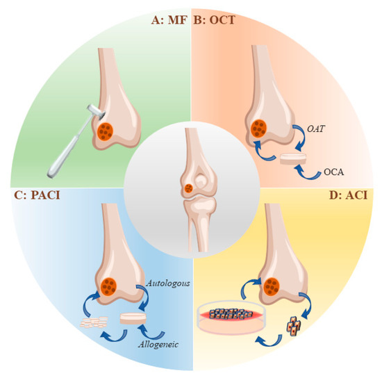 IJMS Free FullText Effects of Electrical Stimulation on Articular