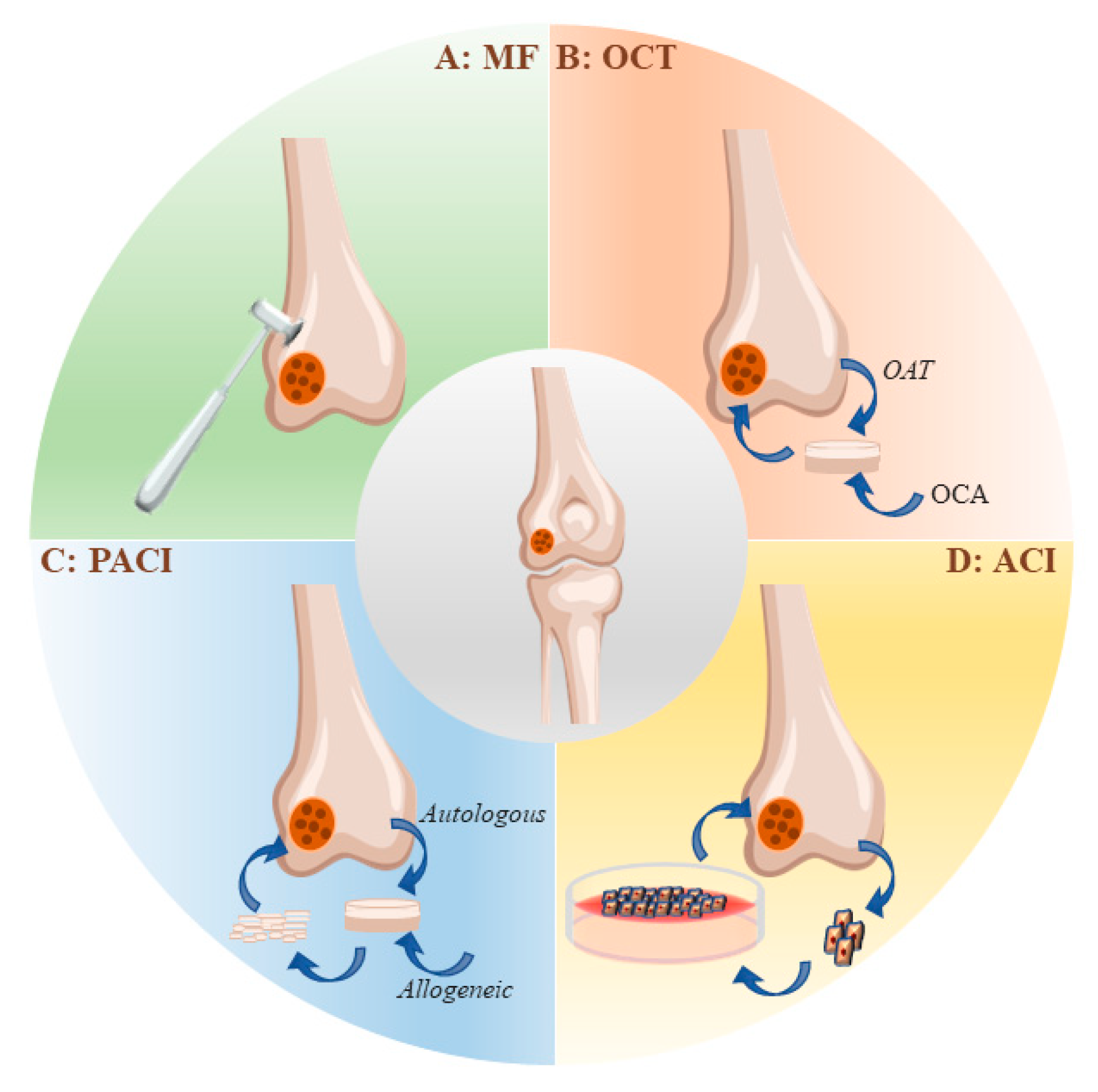 https://www.mdpi.com/ijms/ijms-24-01836/article_deploy/html/images/ijms-24-01836-g001.png