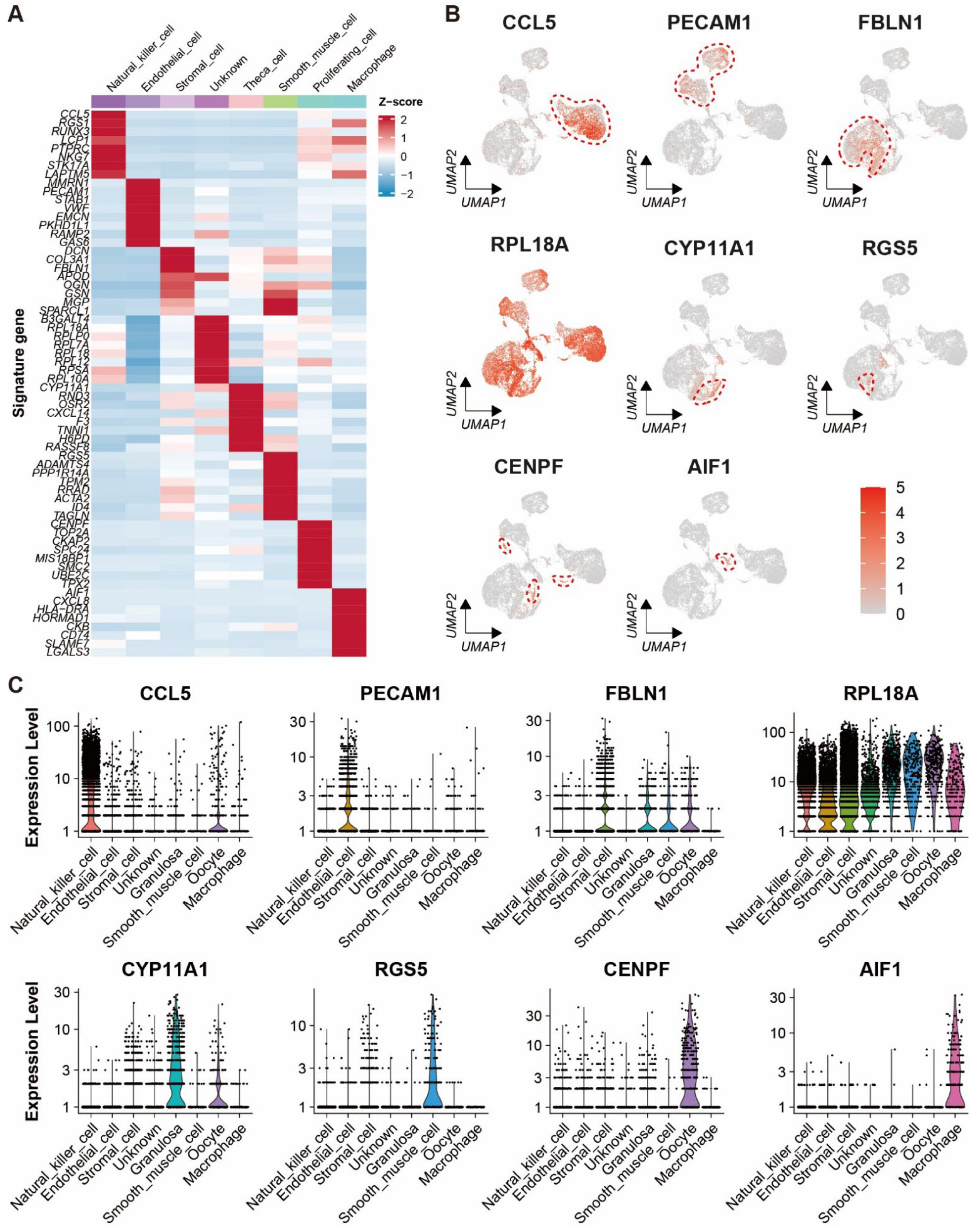 Ijms 24 01839 g003 Ijms 24 01839 g003