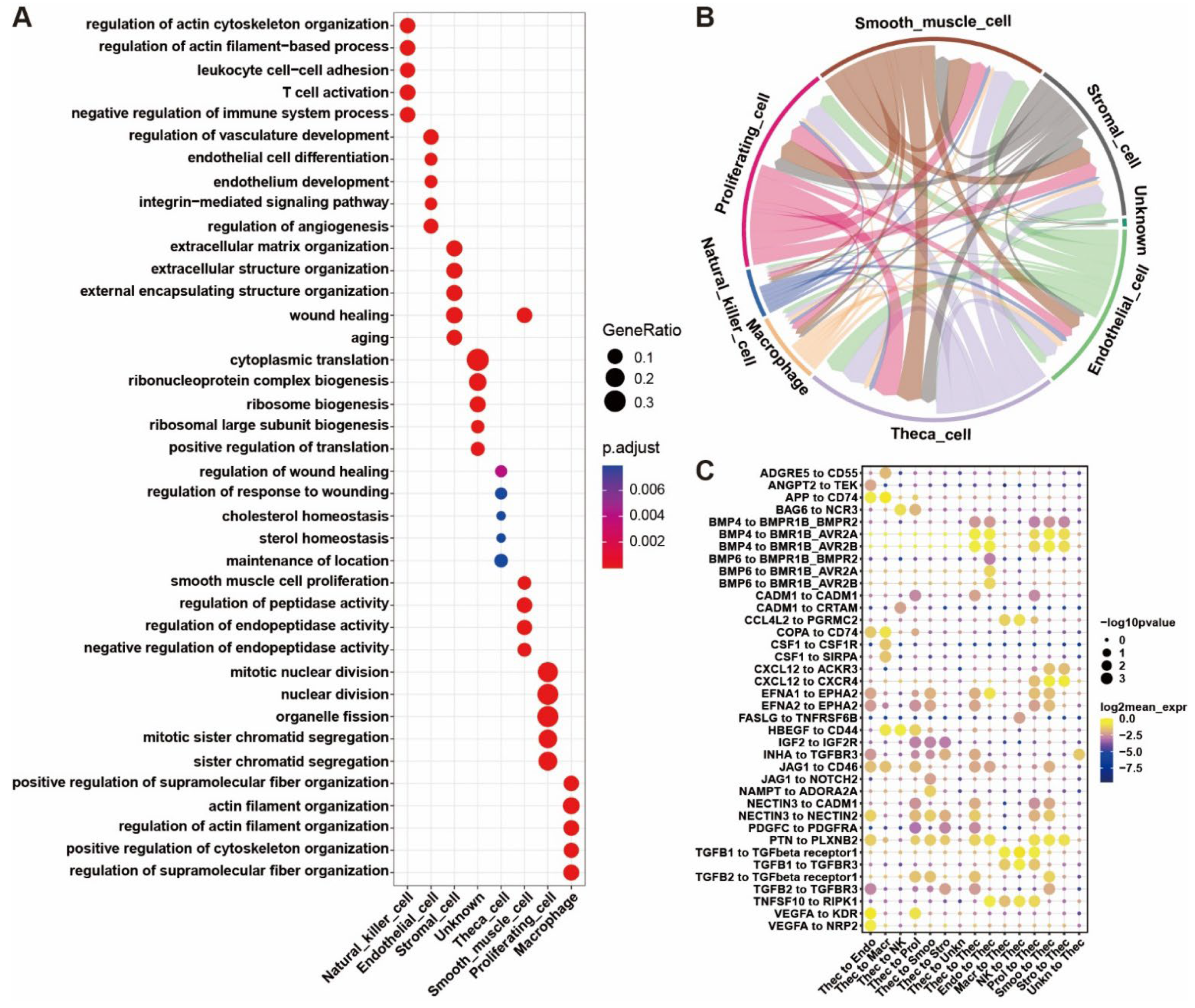 Ijms 24 01839 g004 Ijms 24 01839 g004